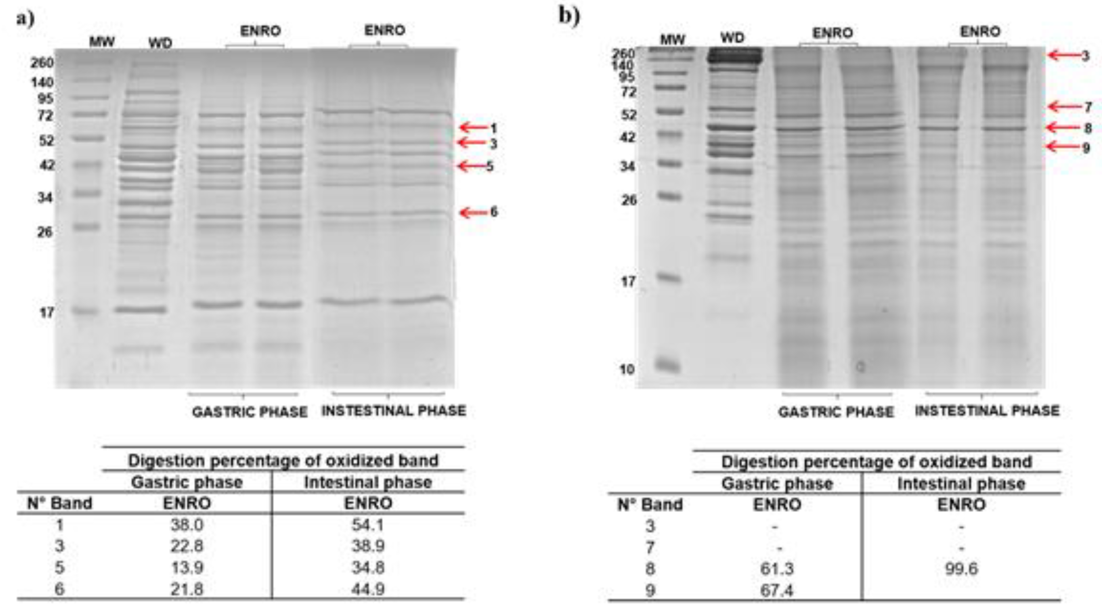 Foods 09 00170 g007 Foods 09 00170 g007