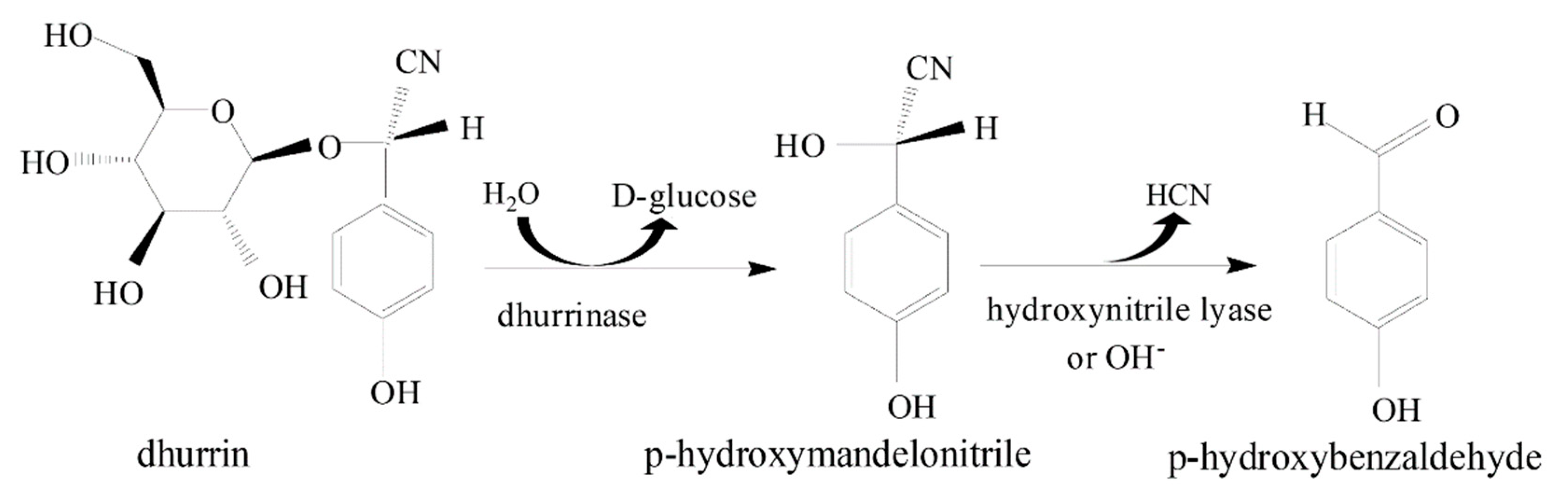 Foods 09 00174 g001 Foods 09 00174 g001