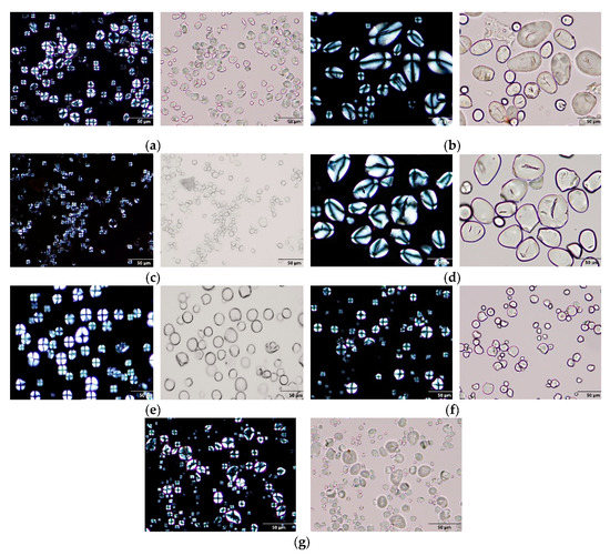 The Physicochemical Characterization of Unconventional Starches and ...
