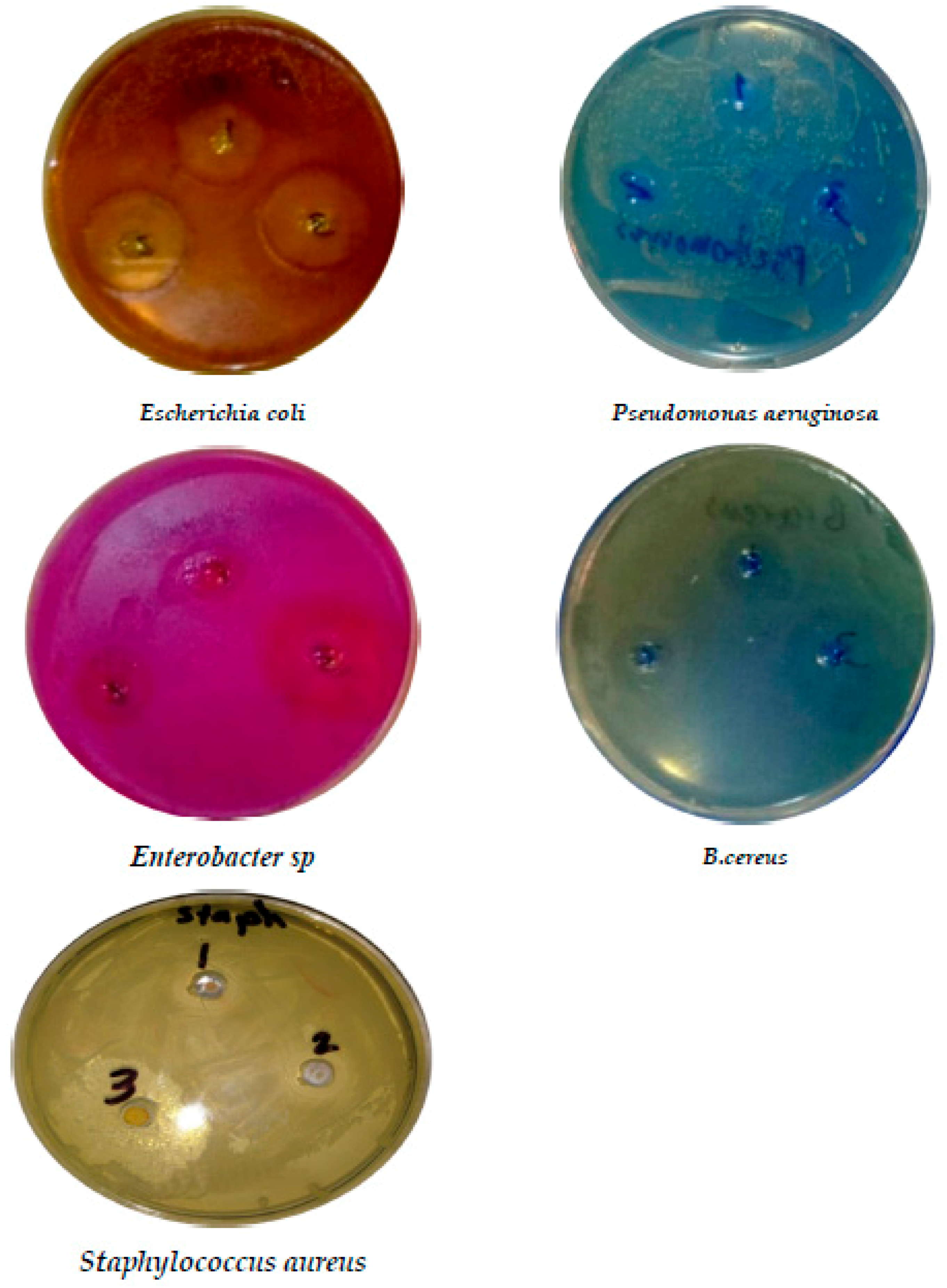 Foods 09 00184 g002 Foods 09 00184 g002