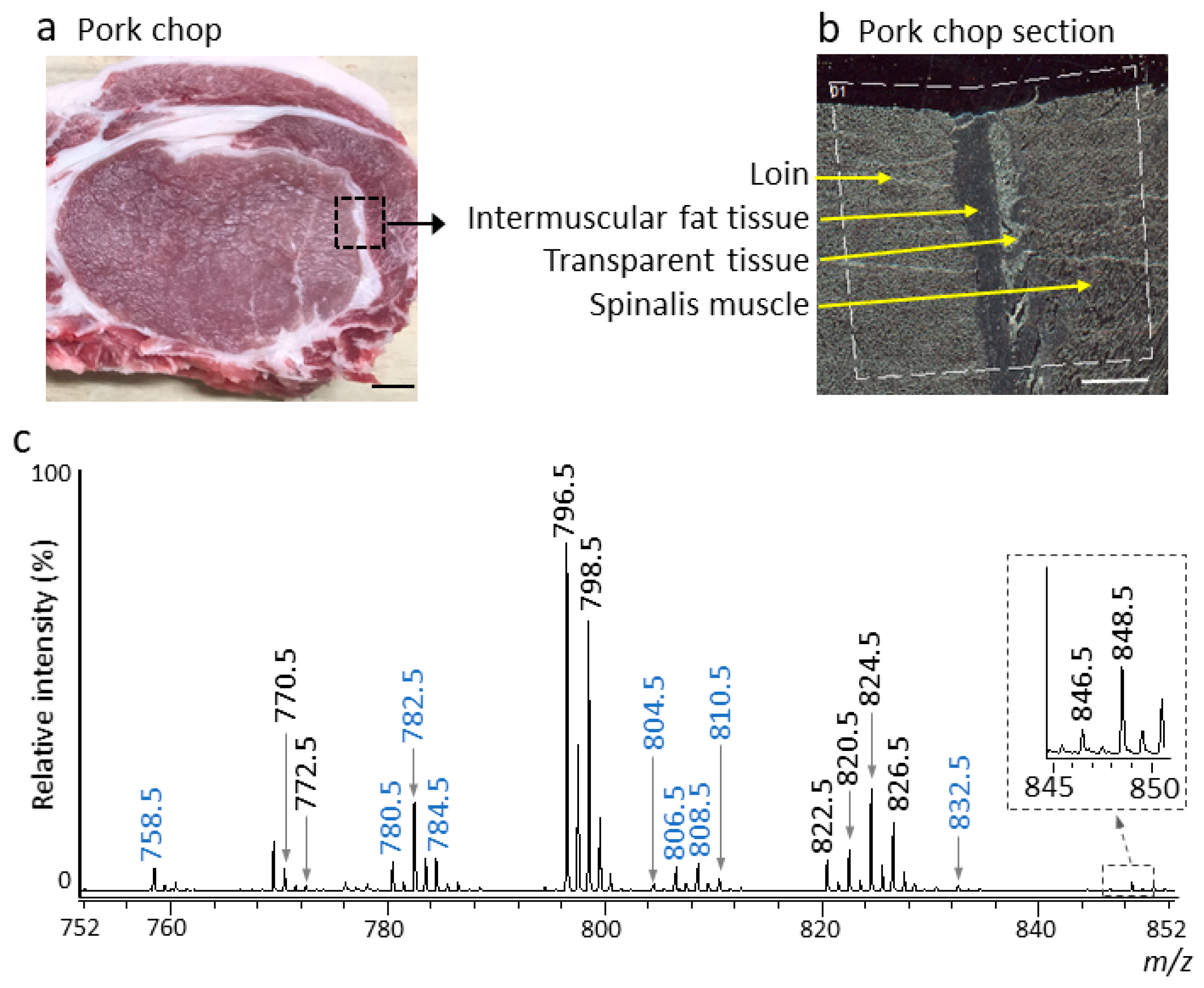 Foods 09 00205 g002 Foods 09 00205 g002