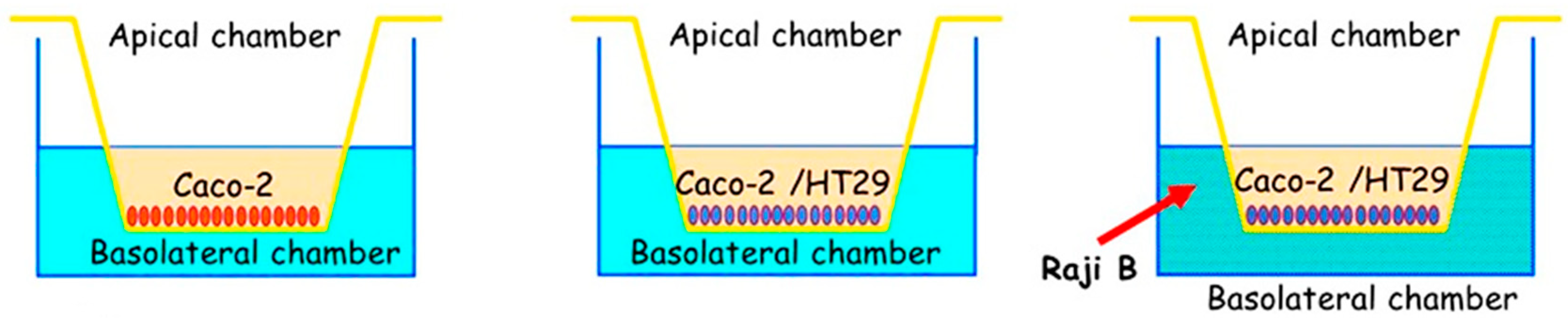 Foods 09 00207 g009 Foods 09 00207 g009