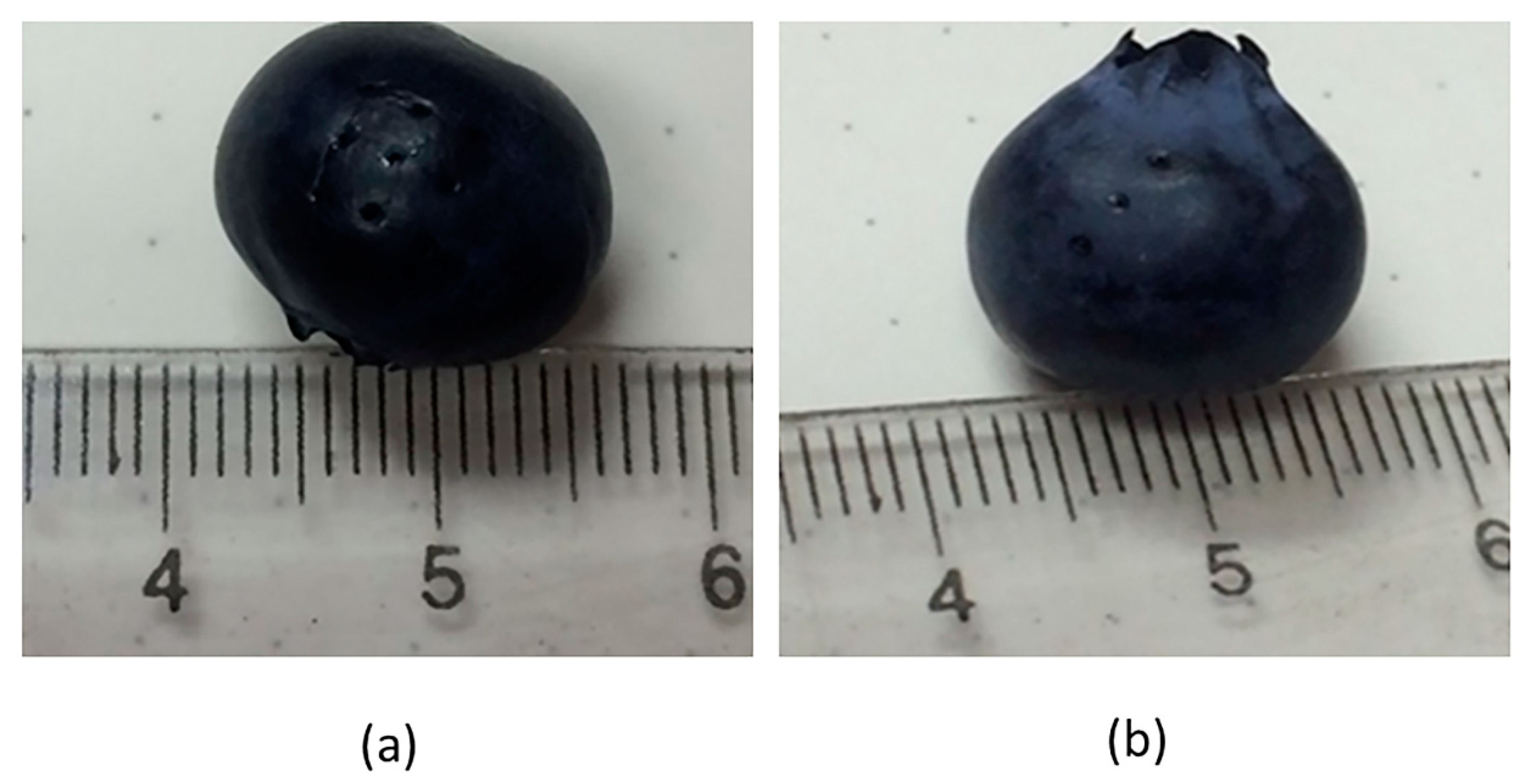 Foods 09 00211 g009 Foods 09 00211 g009