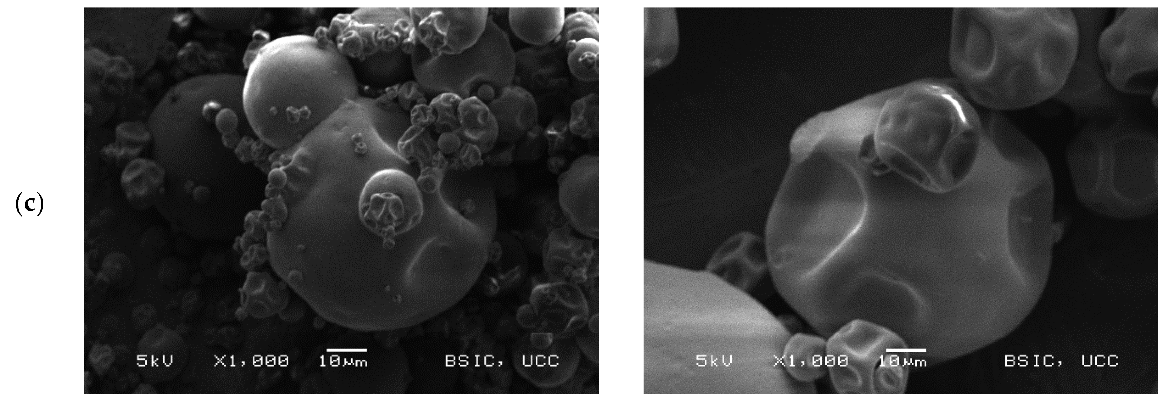 Foods 09 00230 g002b Foods 09 00230 g002b