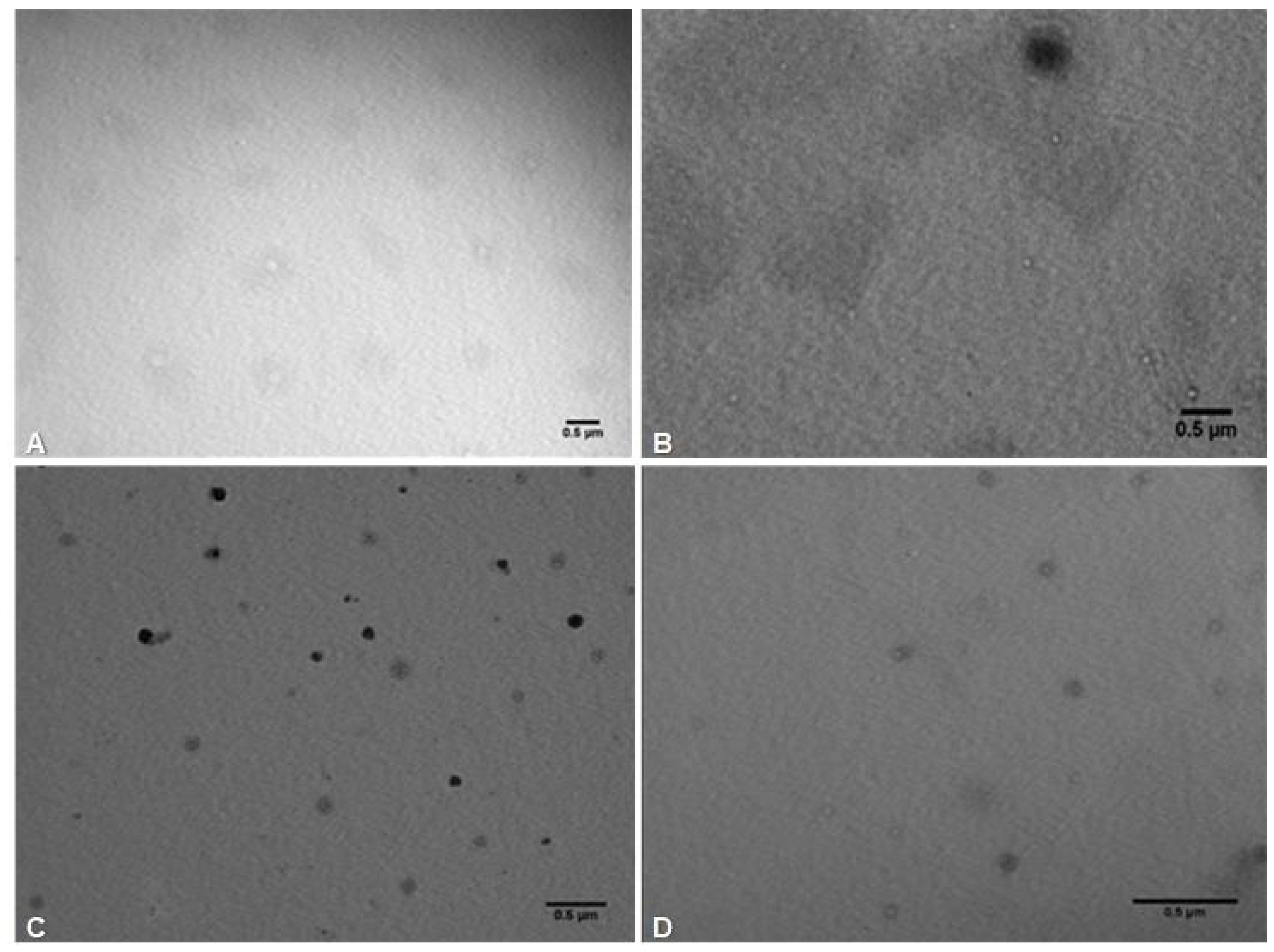 Foods 09 00240 g001 Foods 09 00240 g001