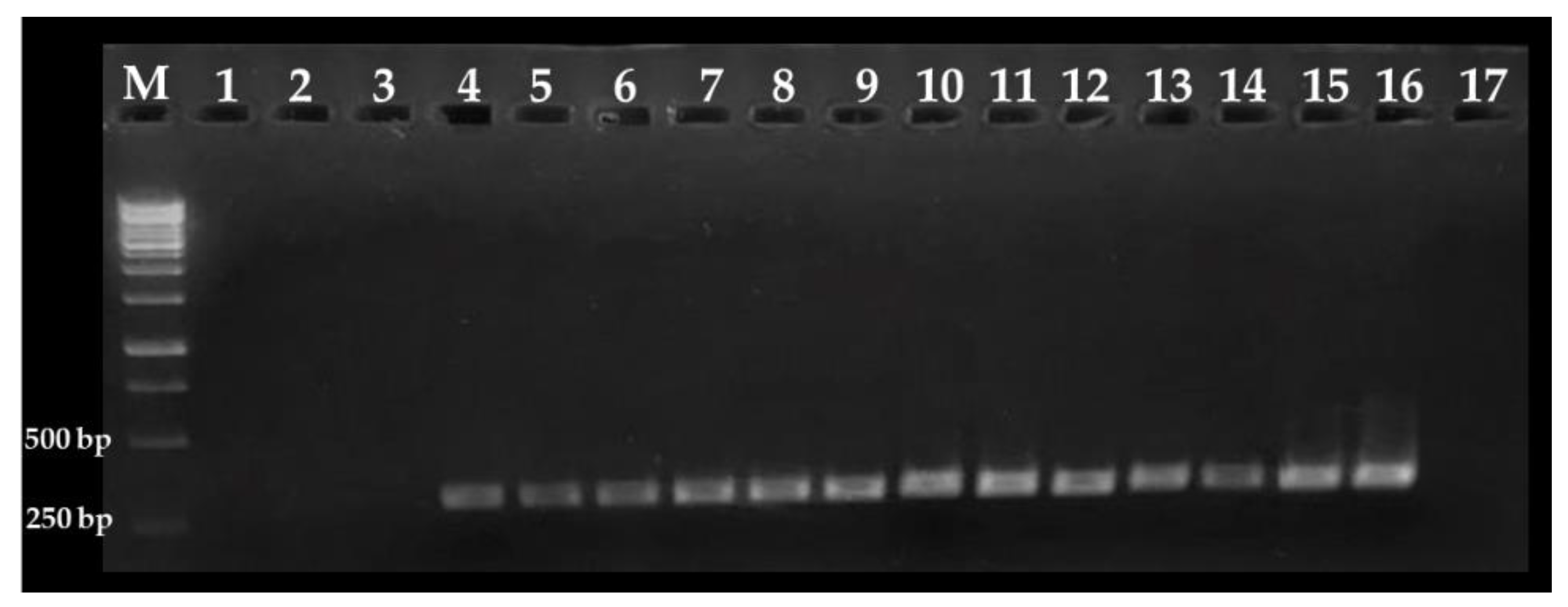 Foods 09 00261 g002 Foods 09 00261 g002