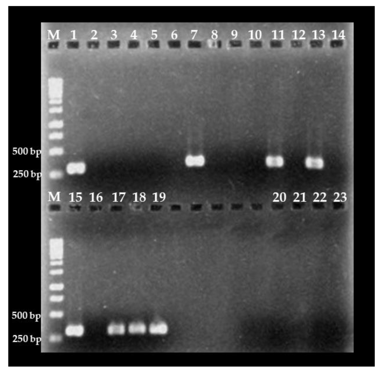 Foods 09 00261 g003 Foods 09 00261 g003