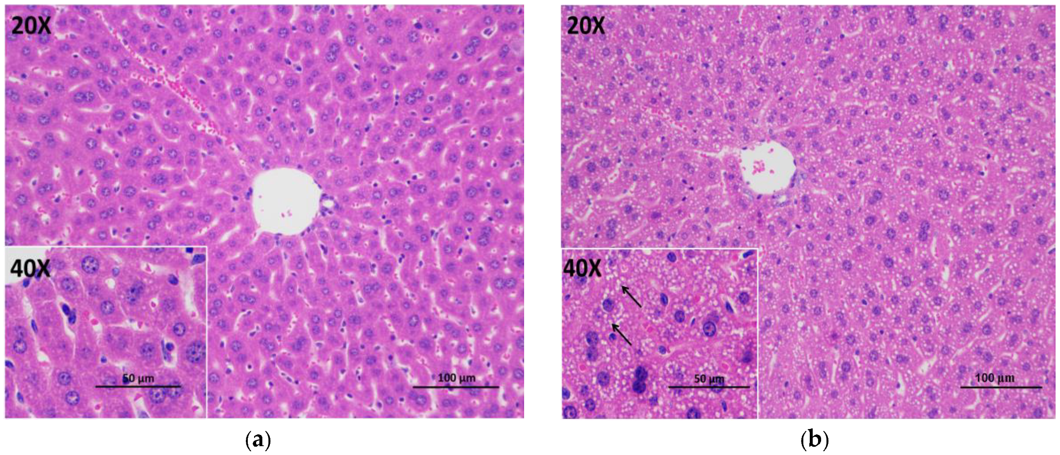 Foods 09 00262 g005a