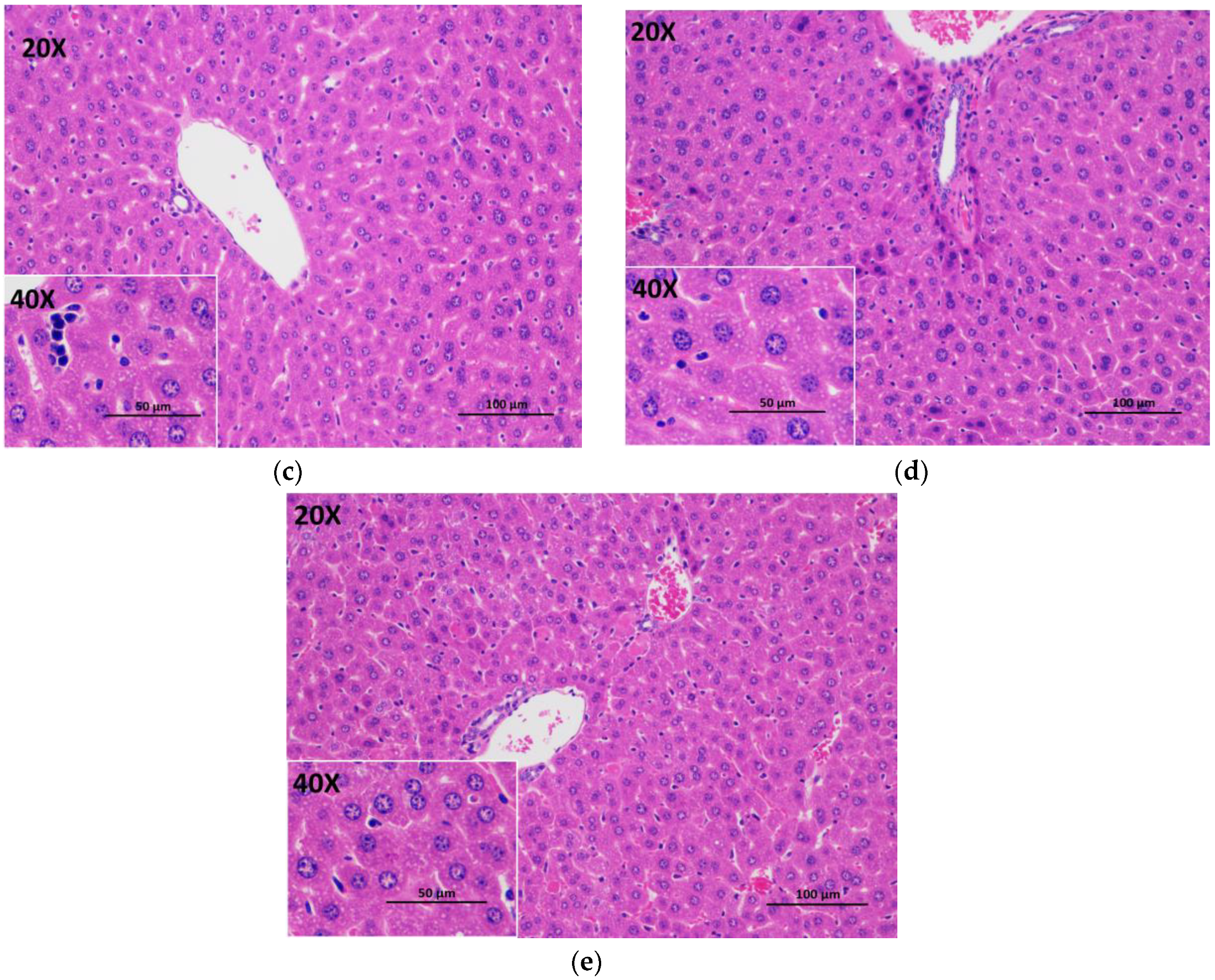 Foods 09 00262 g005b