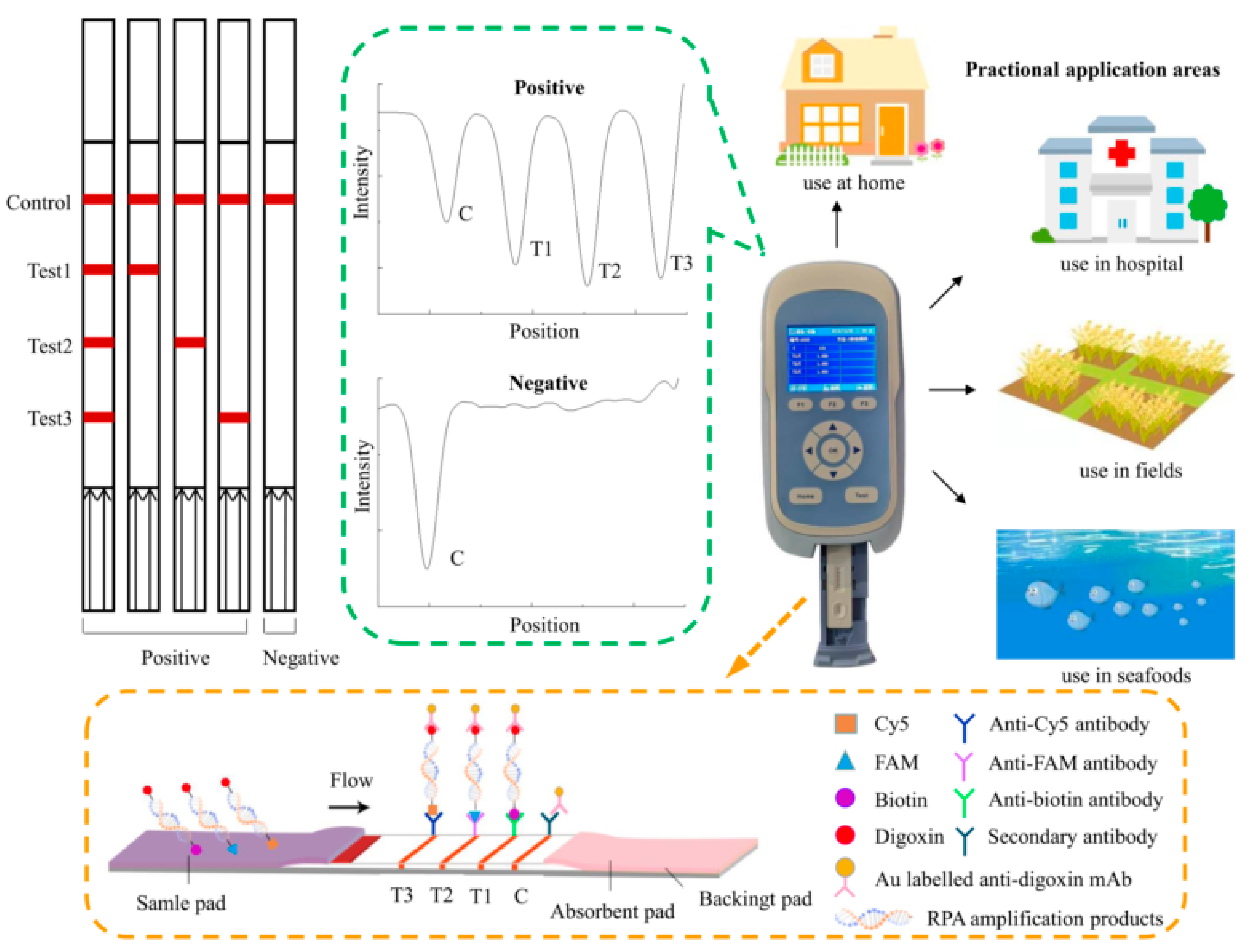 Multiplex Recombinase Polymerase Amplification Assay for the