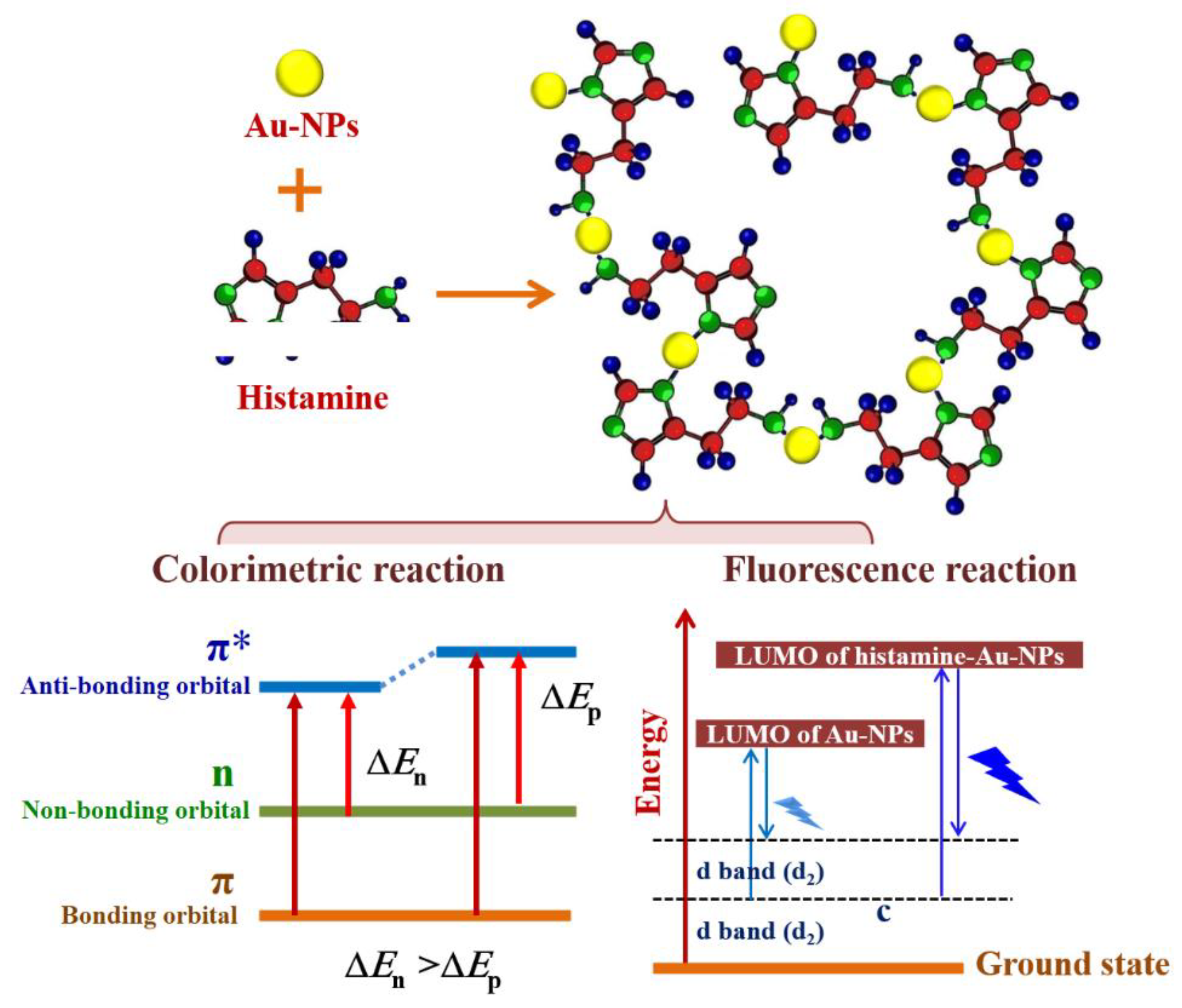 Foods 09 00316 sch001 Foods 09 00316 sch001