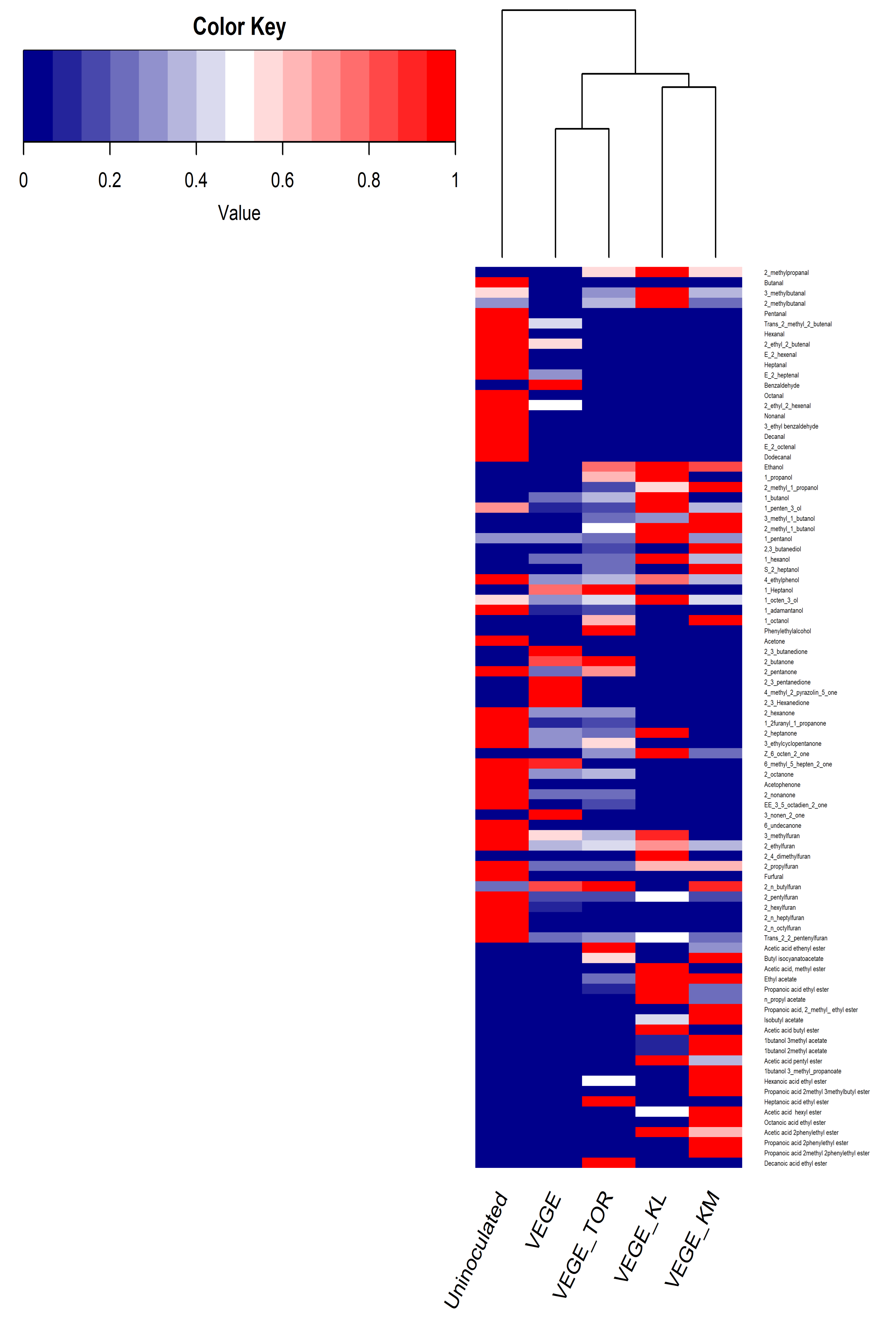 Sensory Improvement of a Pea Protein-Based Product Using