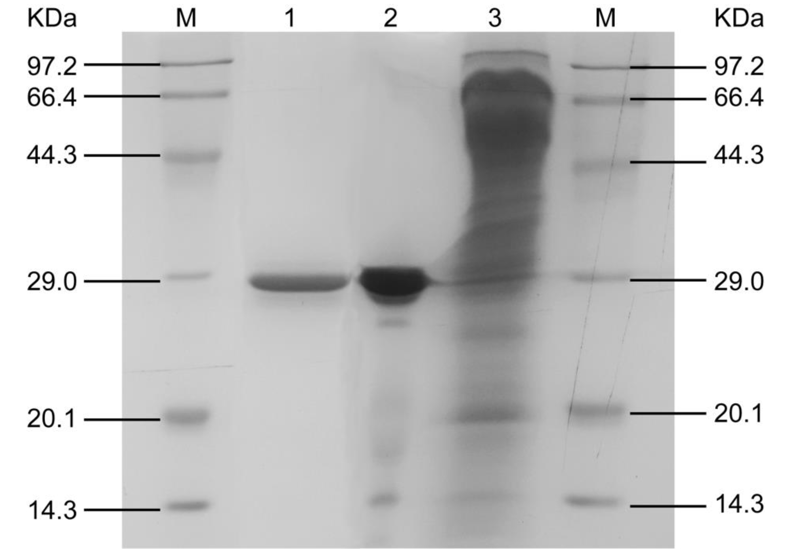 Foods 09 00356 g003 Foods 09 00356 g003