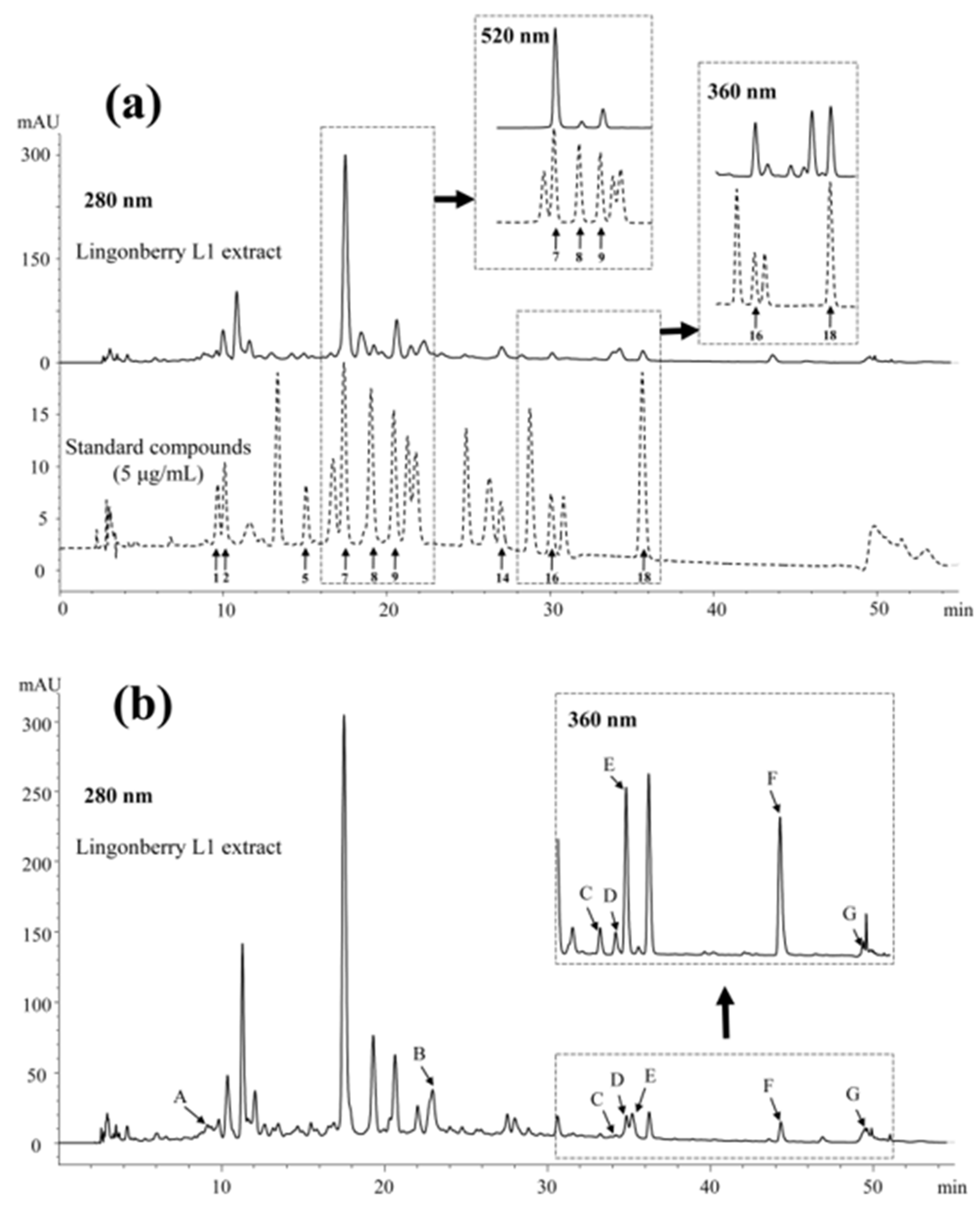 Foods Free Full Text Characterization Of Flavonoid Compounds In Common Swedish Berry Species Html Foods Free Full Text Characterization Of Flavonoid Compounds In Common Swedish Berry Species Html