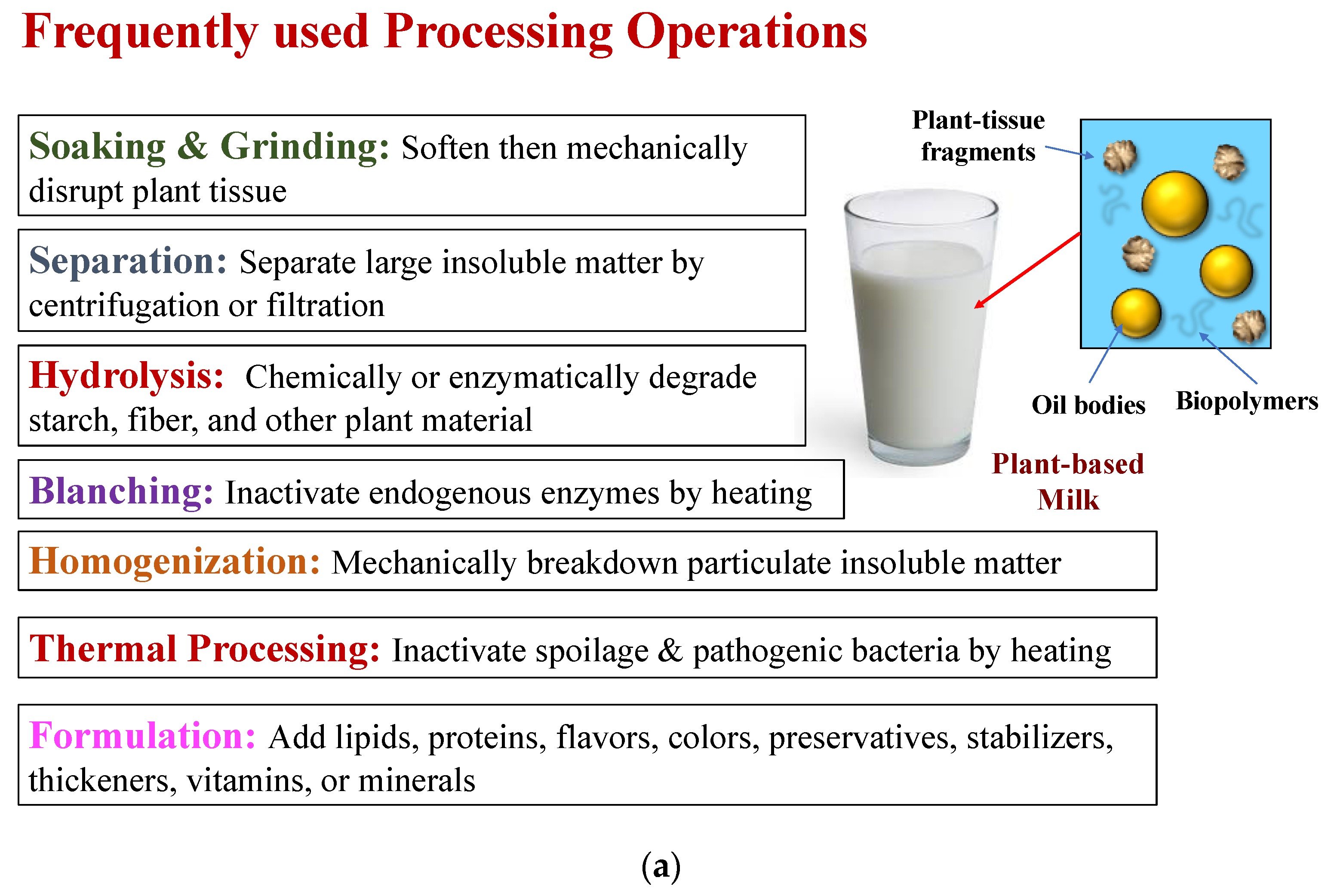 Milk, Definition, Types, Processing, & Nutritional Value