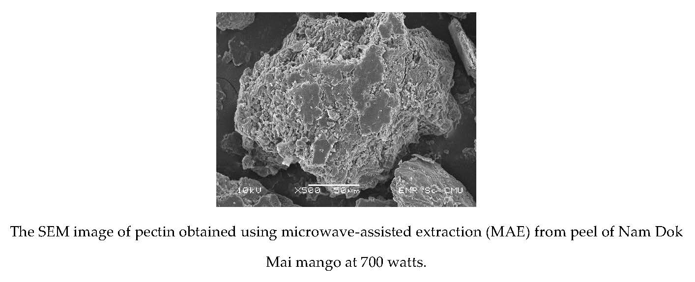 Foods Free FullText Mango Peel Pectin by MicrowaveAssisted
