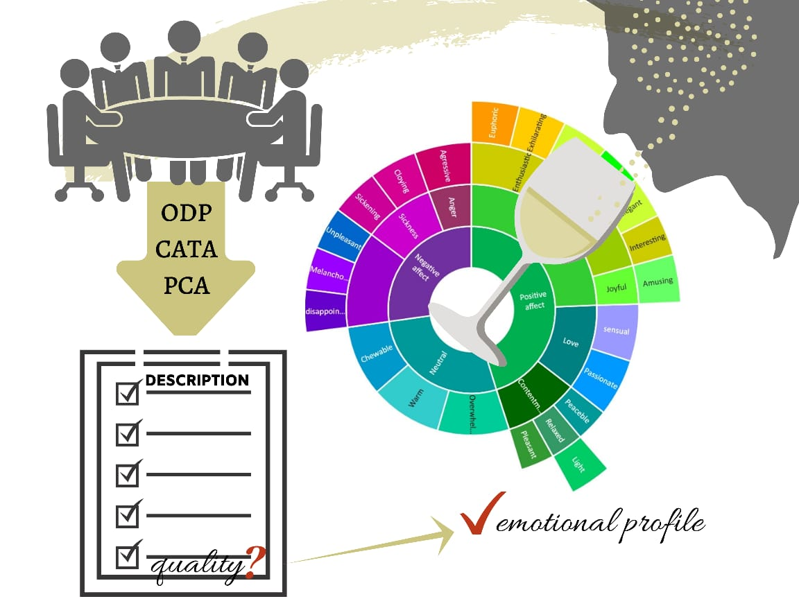 Foods Free Full Text Consumers Associate High Quality Fine Wines With Complexity Persistence And Unpleasant Emotional Responses Html