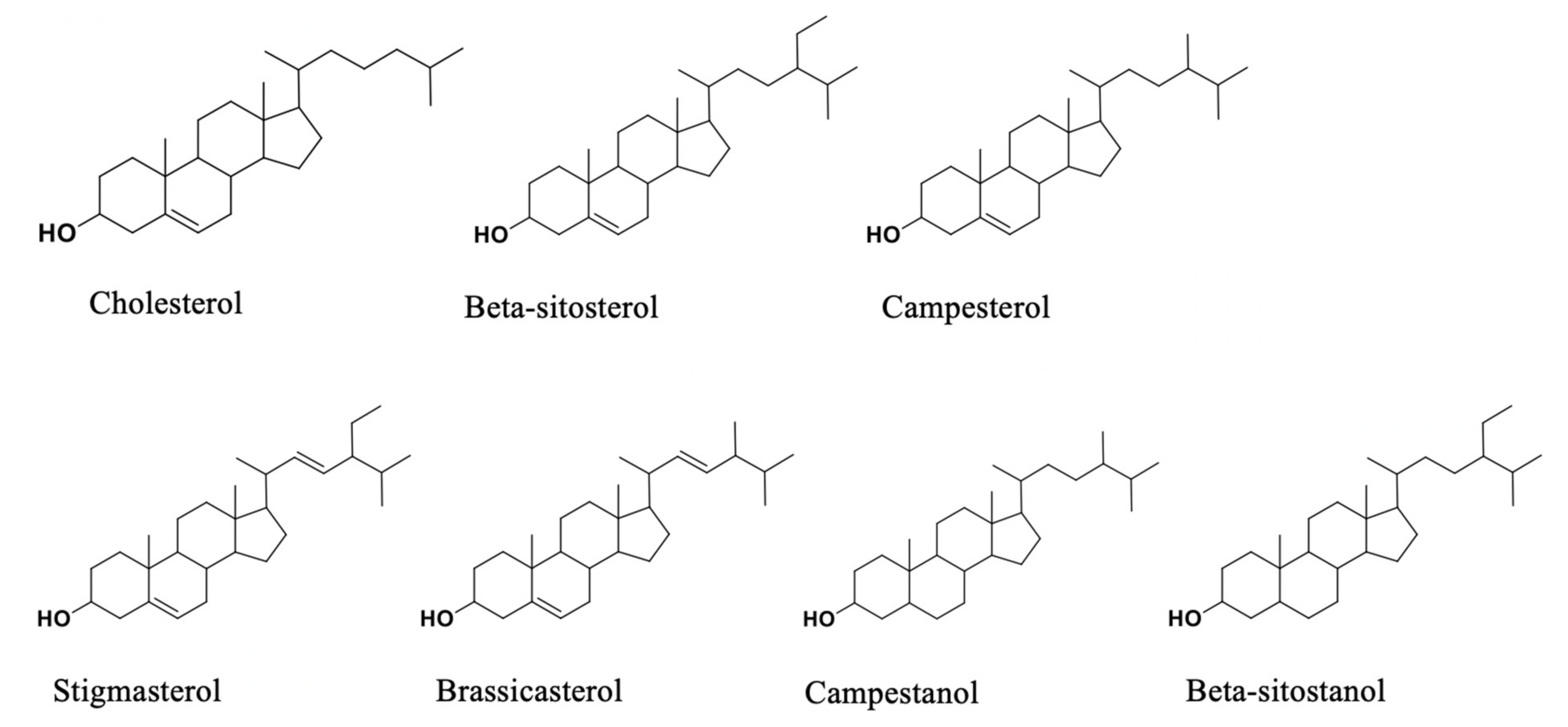 Foods 09 00470 g001 Foods 09 00470 g001