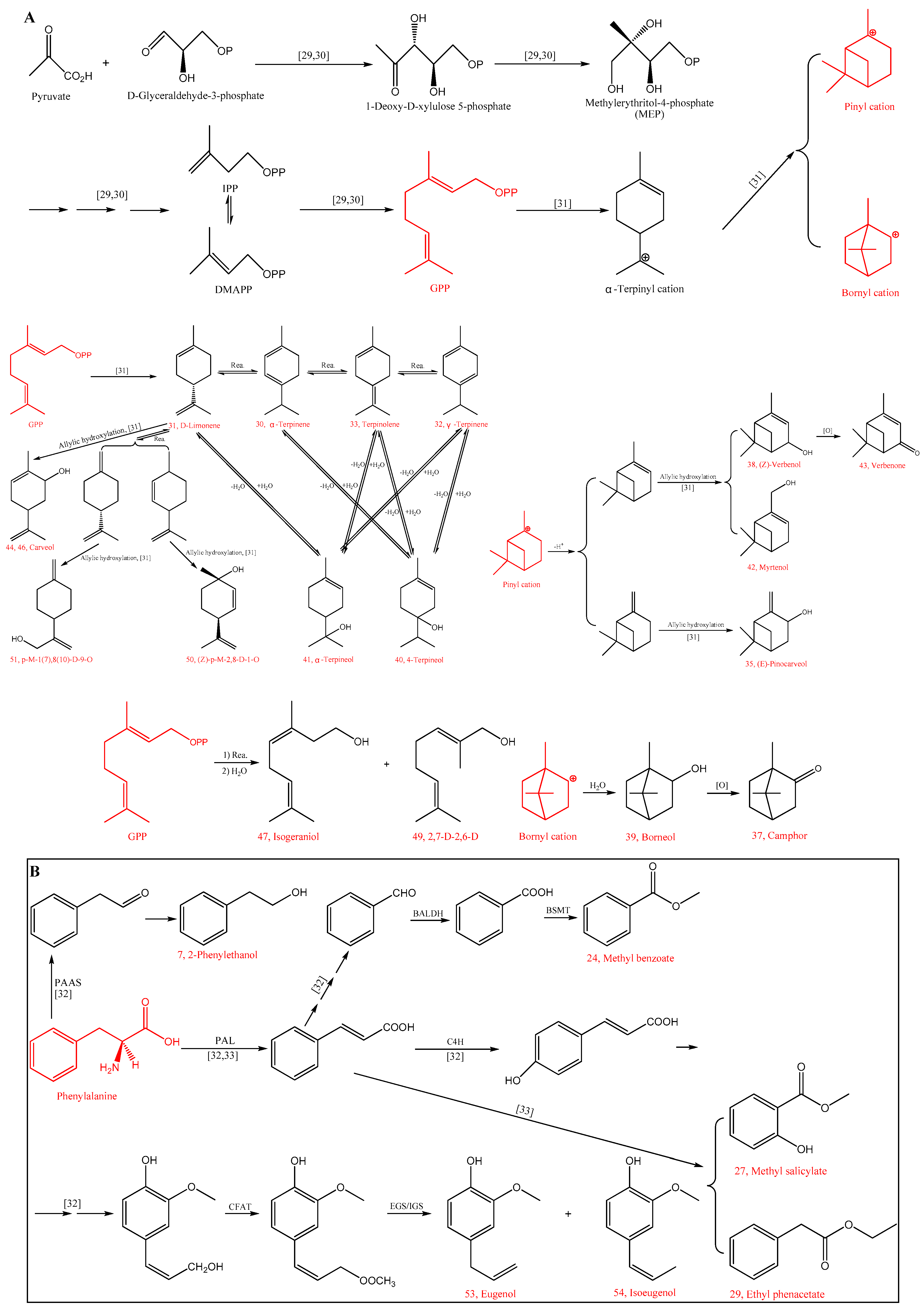 Foods 09 00488 g001 Foods 09 00488 g001