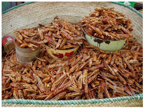 Foods Free Full Text Edible Insects In Africa In Terms Of Food Wildlife Resource And Pest Management Legislation Html