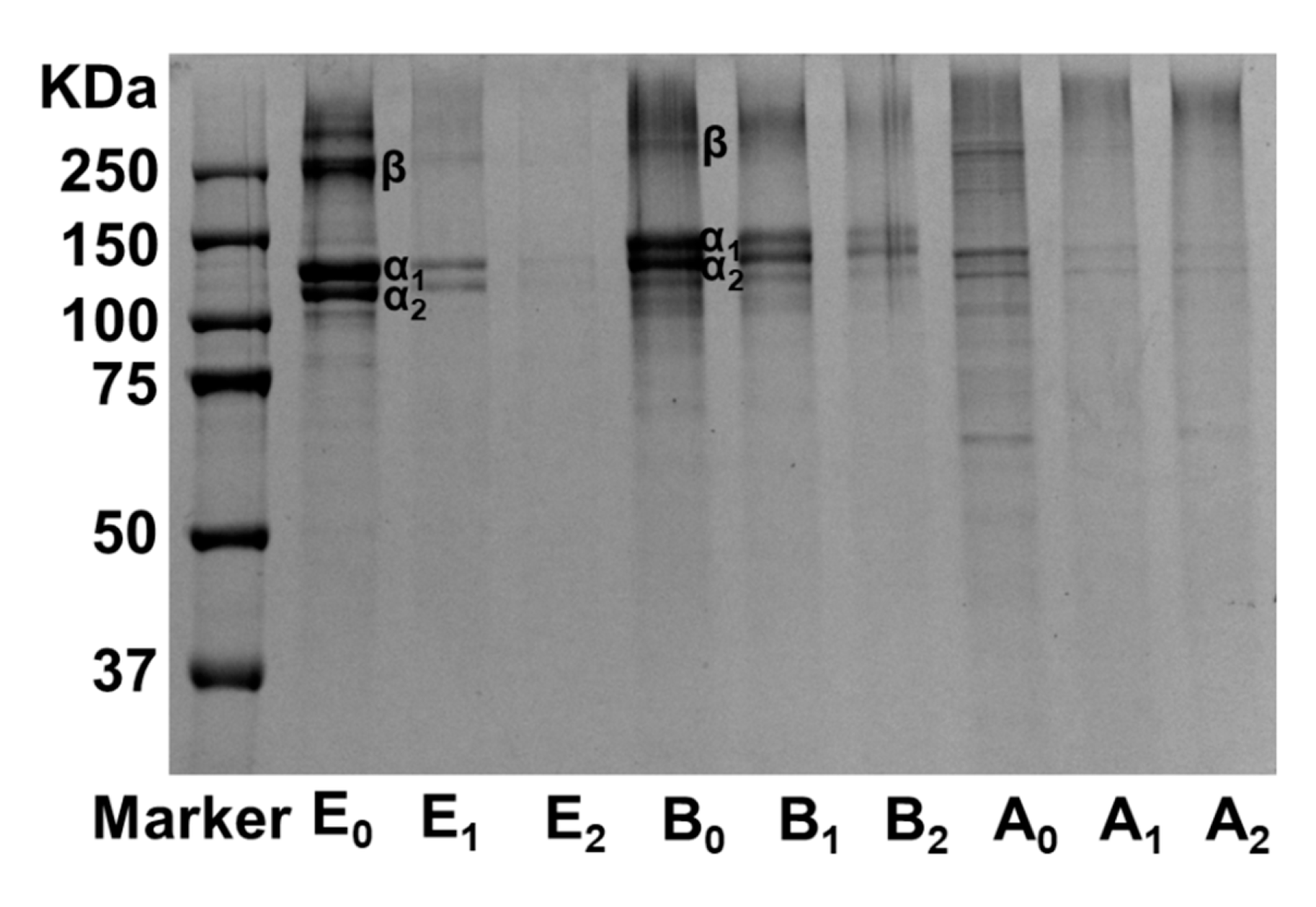 Foods 09 00503 g003 Foods 09 00503 g003