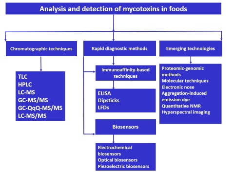 importance of mycotoxins in food industry)