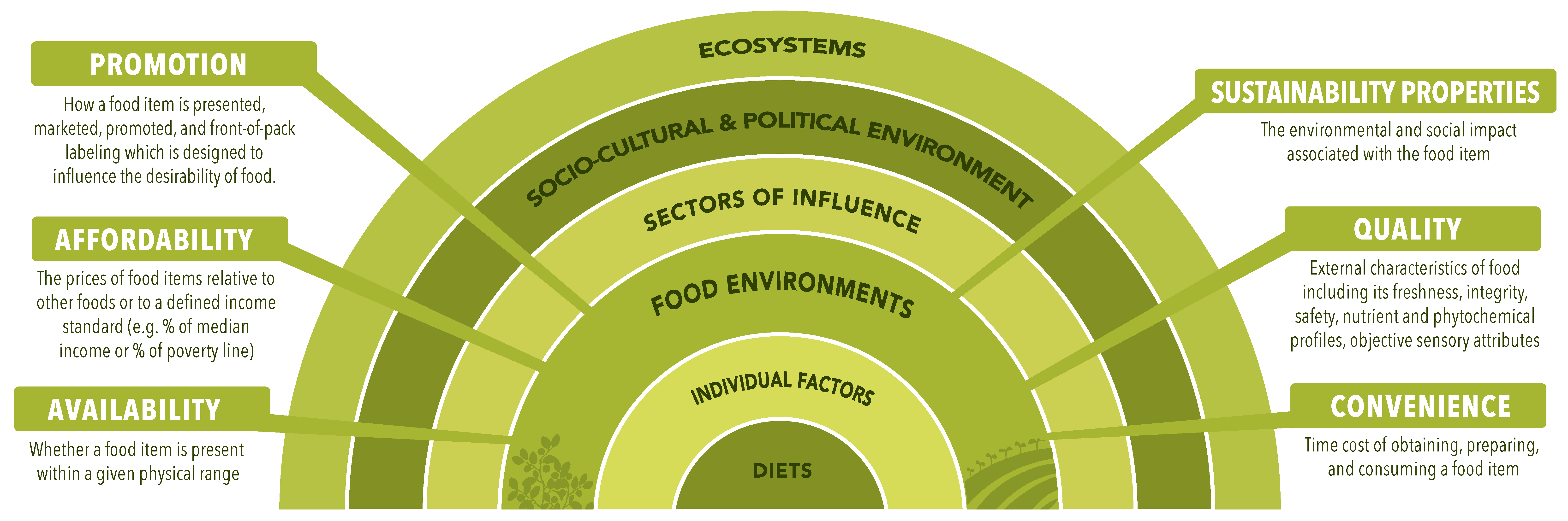 Foods | Free Full-Text | Food Environment Typology: Advancing an