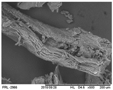 Foods 09 00593 i001 Foods 09 00593 i001