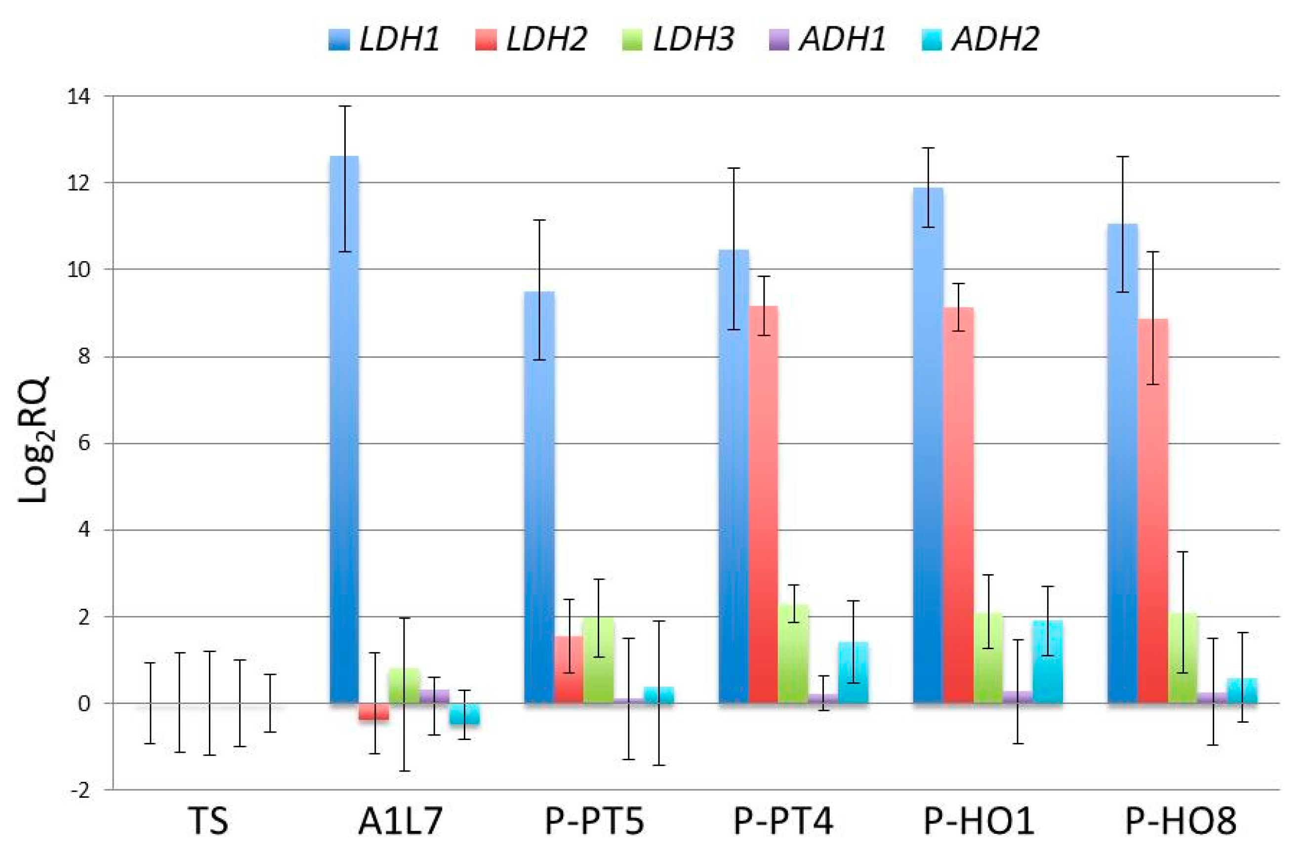 Foods 09 00595 g005 Foods 09 00595 g005