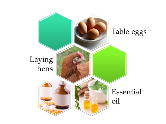 Foods Free Full Text Influence Of Different Tetracycline Antimicrobial Therapy Of Mycoplasma Mycoplasma Synoviae In Laying Hens Compared To Tea Tree Essential Oil On Table Egg Quality And Antibiotic Residues Html Foods Free Full Text Influence Of Different Tetracycline Antimicrobial Therapy Of Mycoplasma Mycoplasma Synoviae In Laying Hens Compared To Tea Tree Essential Oil On Table Egg Quality And Antibiotic Residues Html