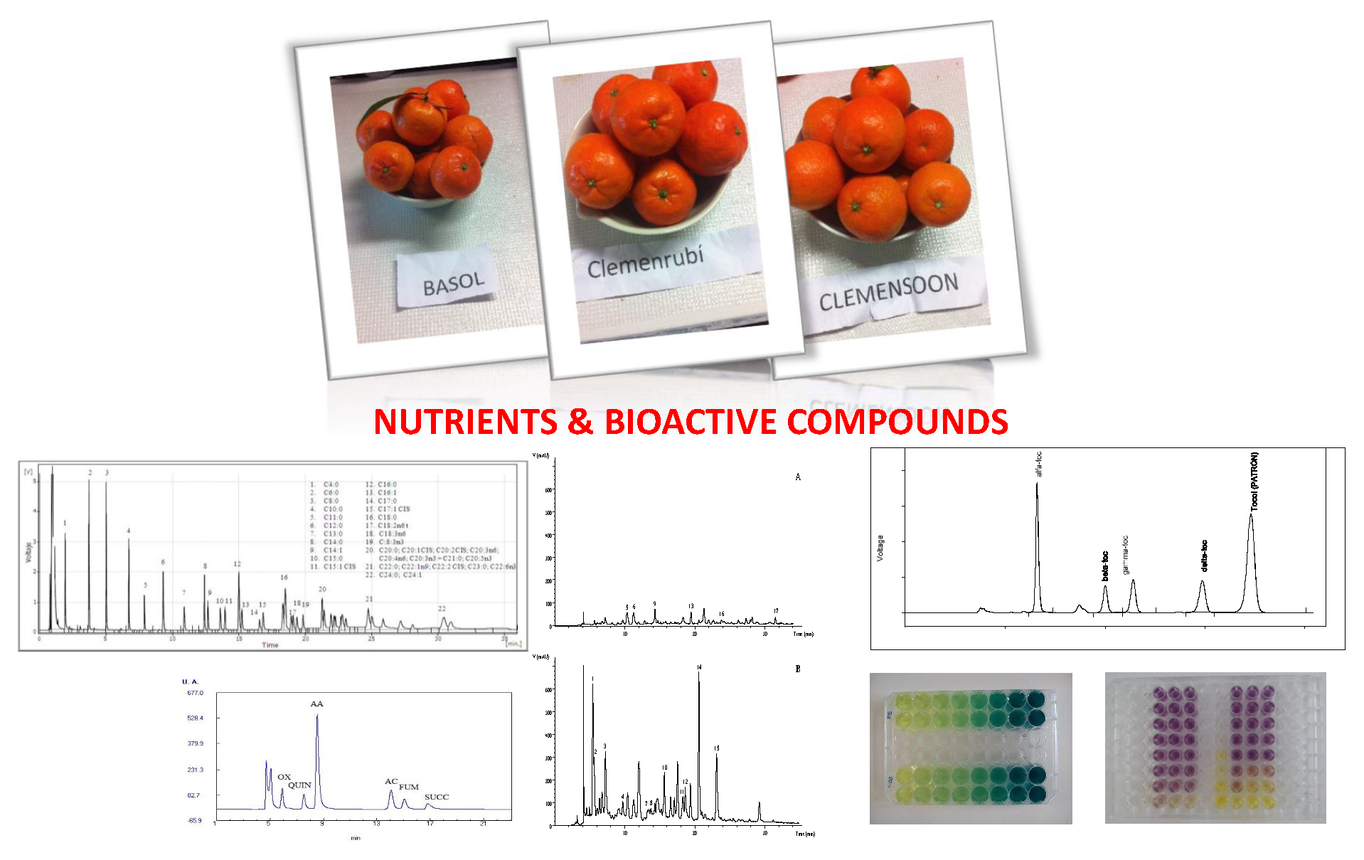 Foods Free Full Text Characterization Of Extra Early Spanish Clementine Varieties Citrus Clementina Hort Ex Tan As A Relevant Source Of Bioactive Compounds With Antioxidant Activity Html
