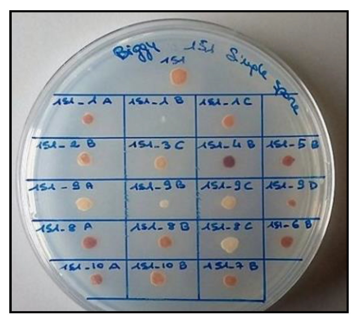 Foods 09 00658 g001 Foods 09 00658 g001