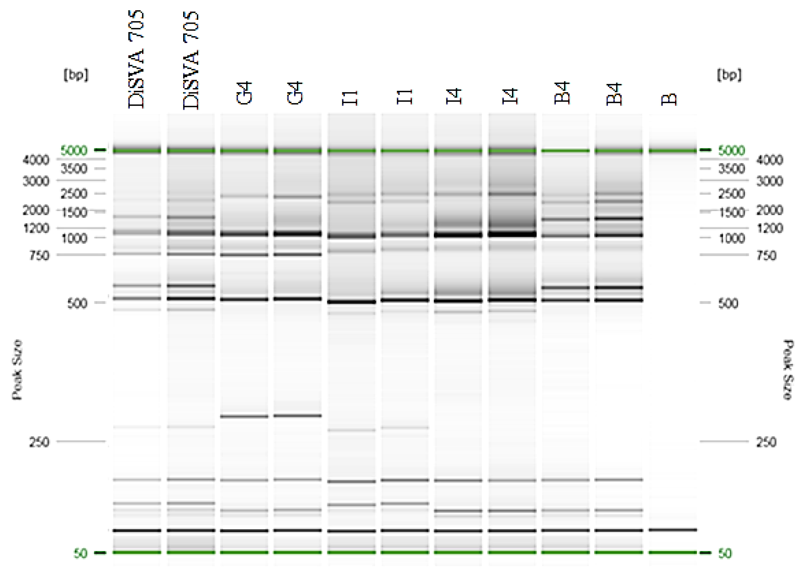 Foods 09 00658 g002 Foods 09 00658 g002