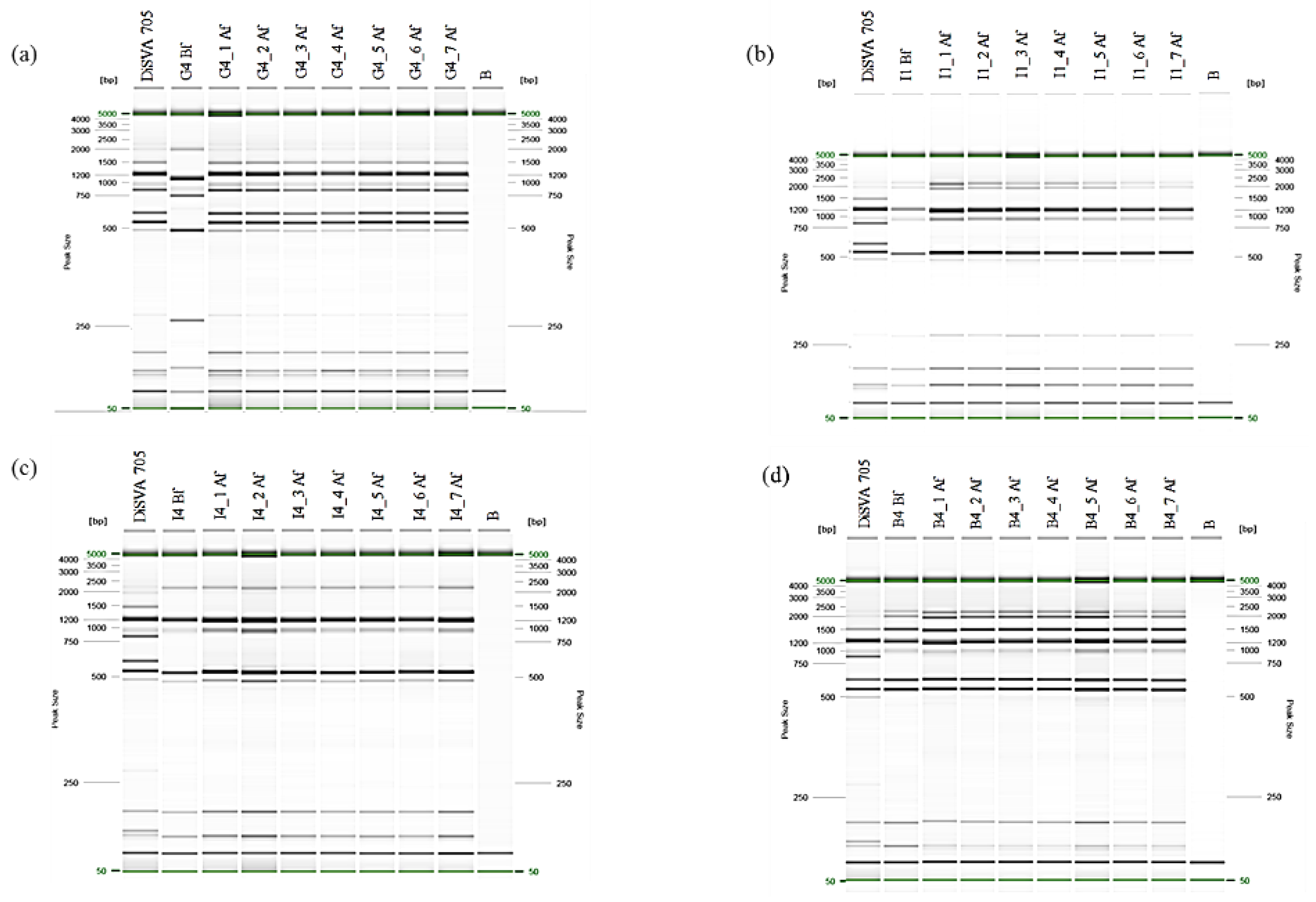 Foods 09 00658 g003 Foods 09 00658 g003