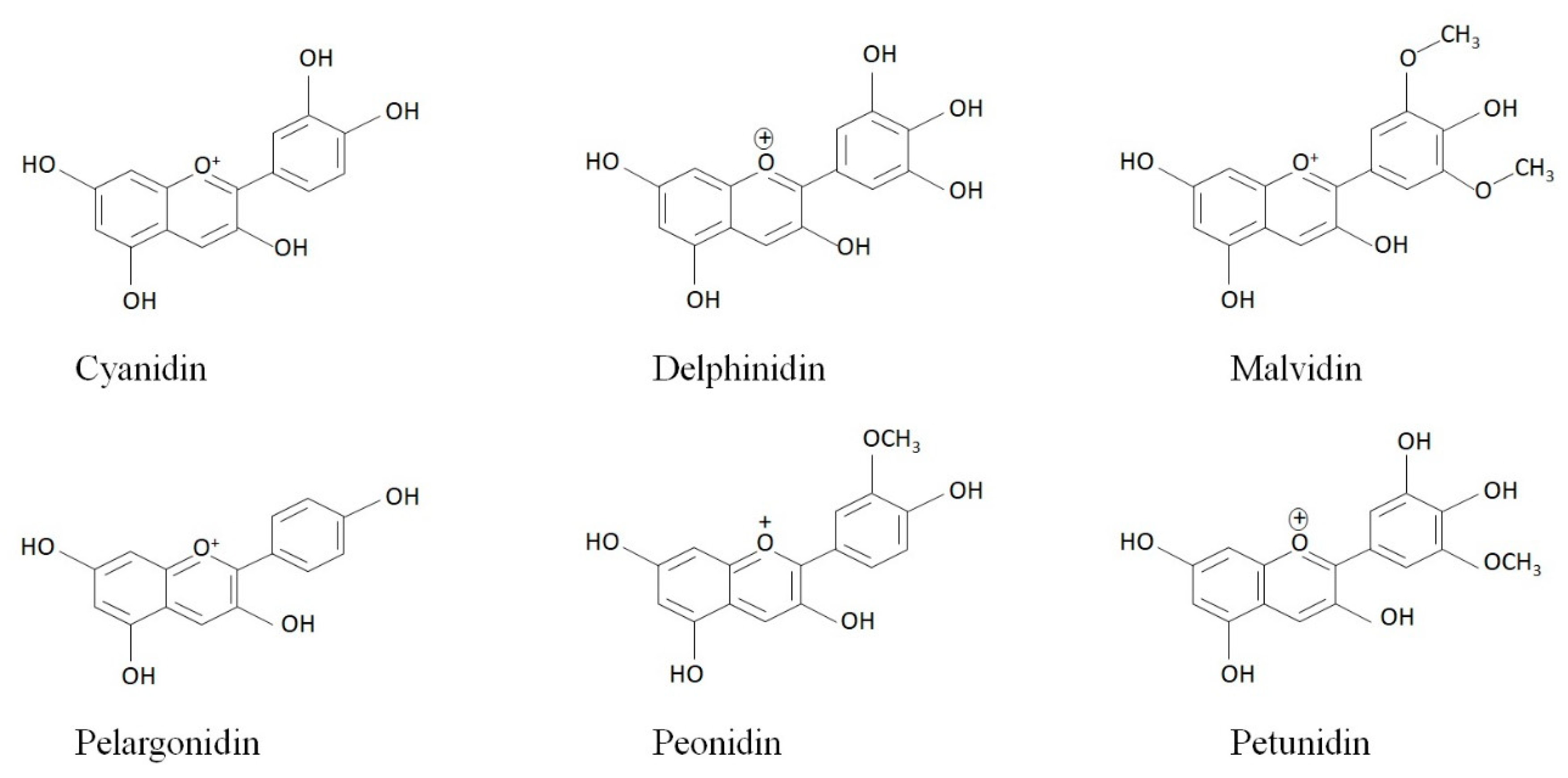 Foods 09 00687 g001 Foods 09 00687 g001