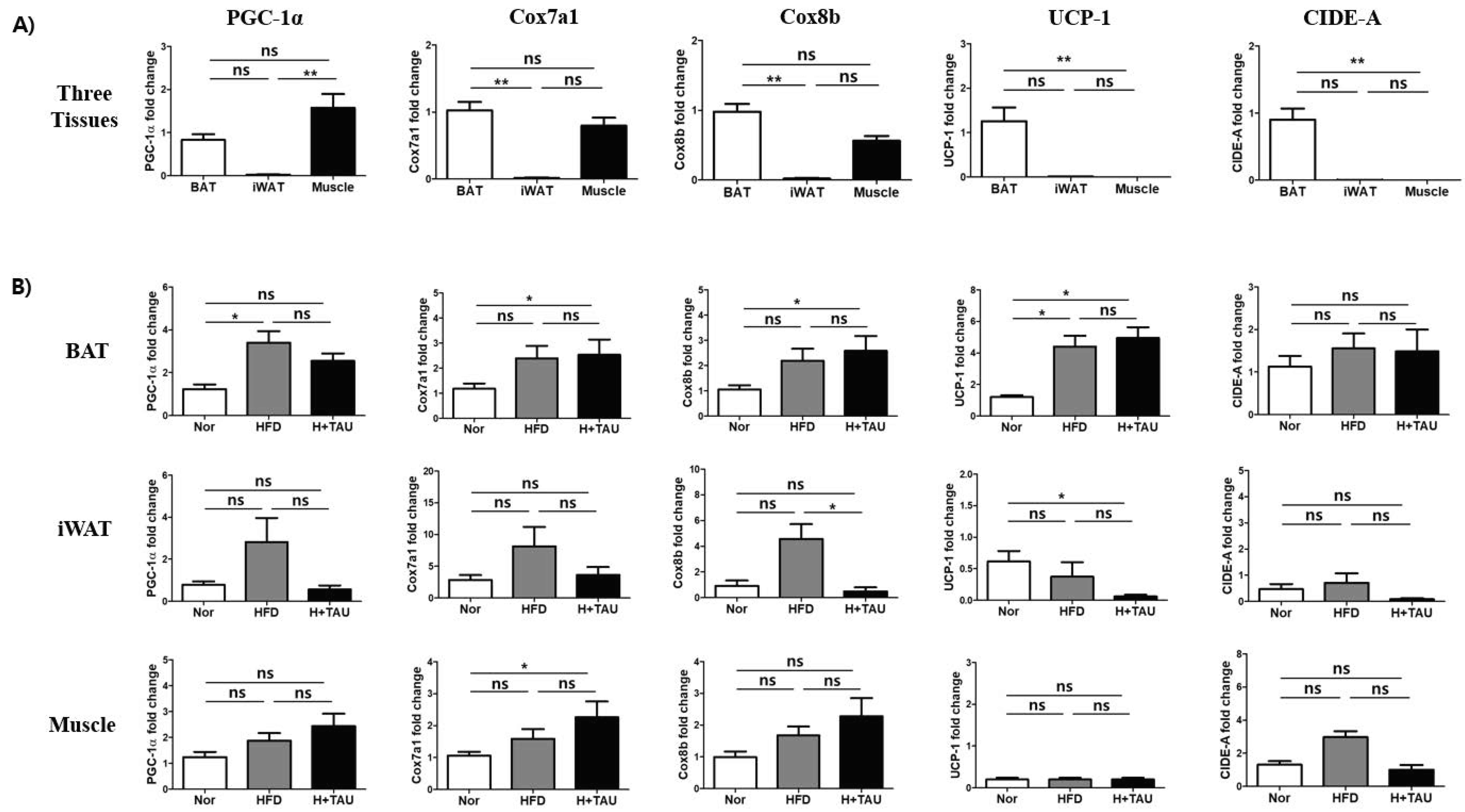 Foods 09 00688 g002 Foods 09 00688 g002
