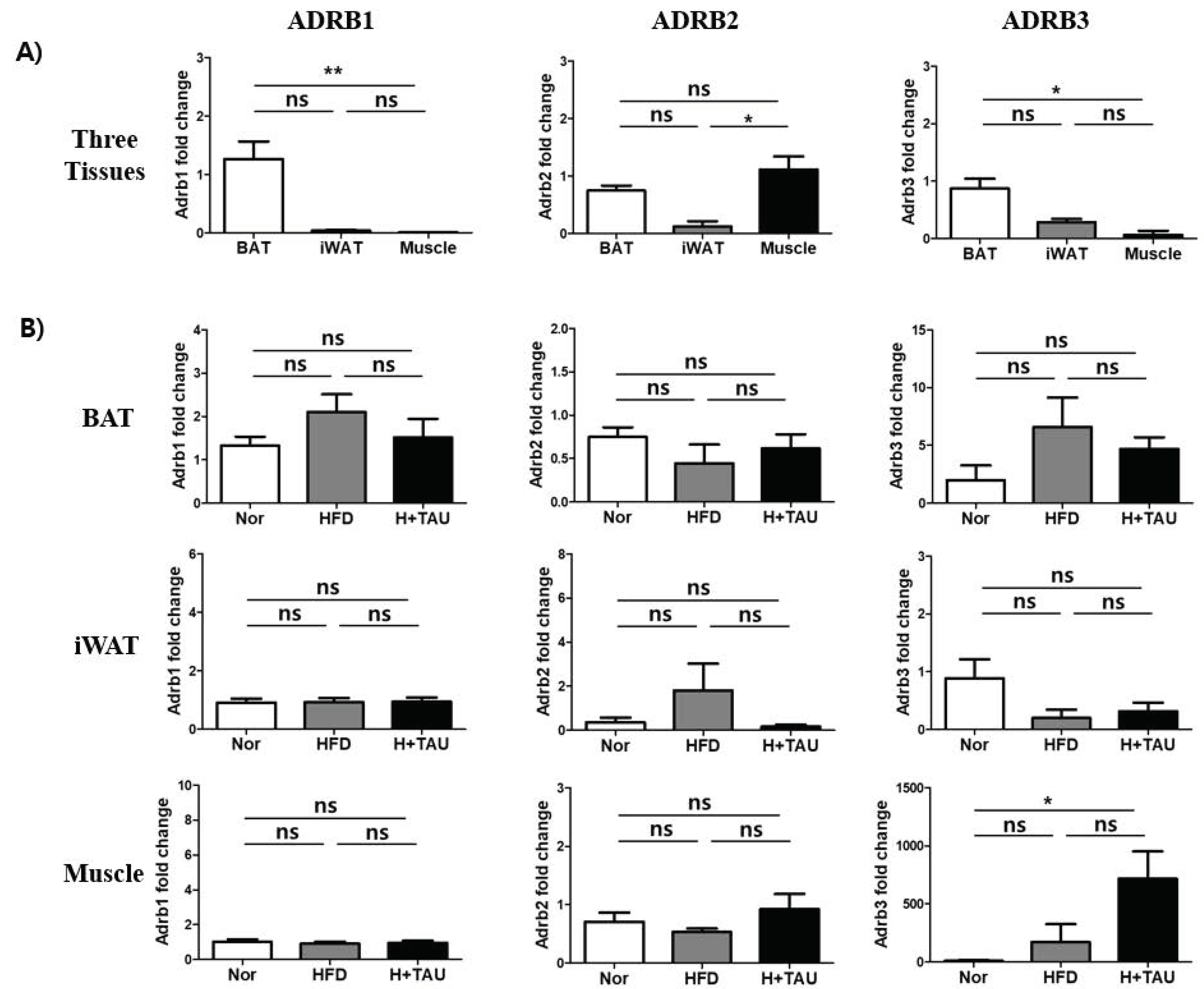 Foods 09 00688 g003 Foods 09 00688 g003