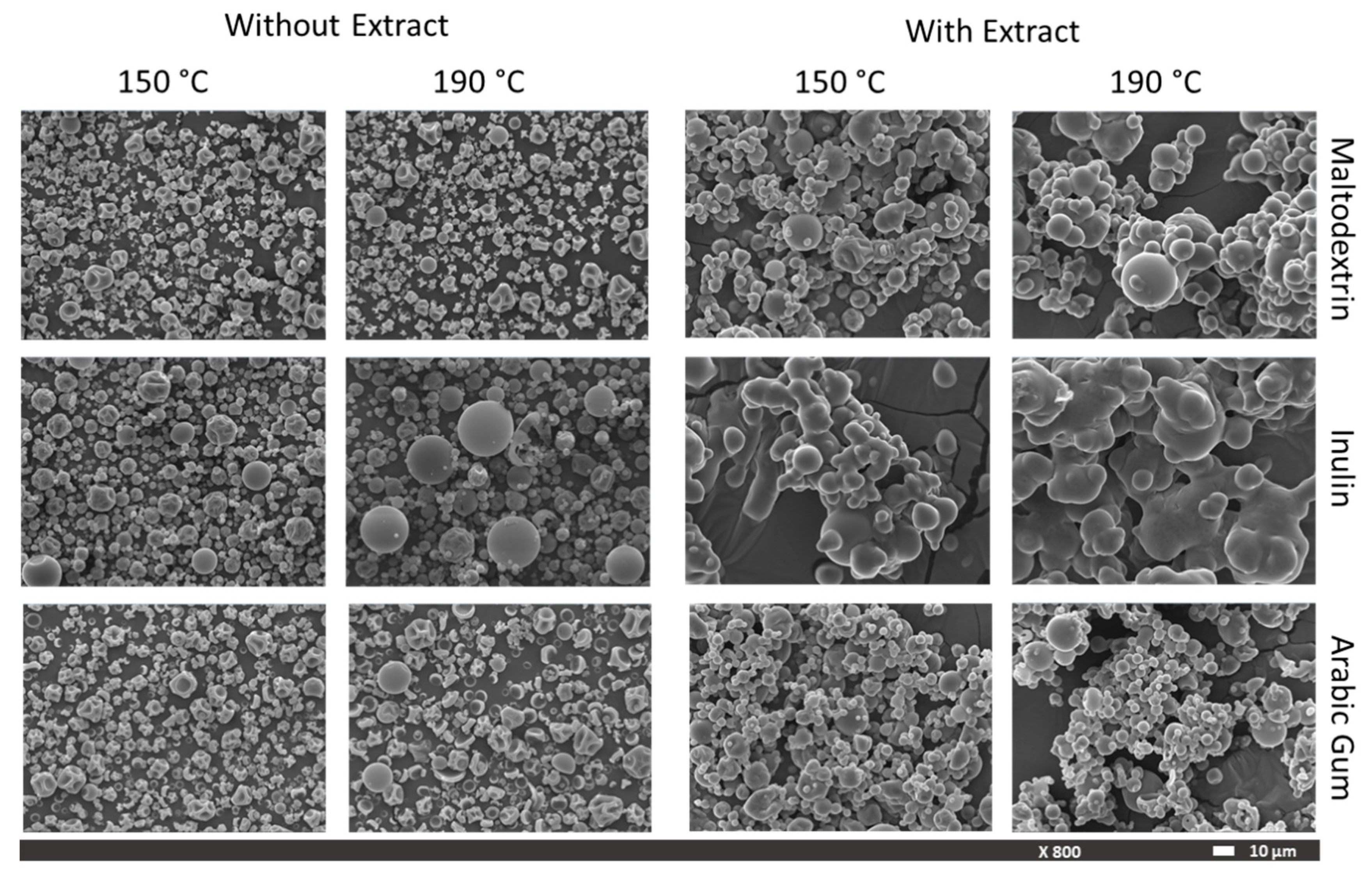 Foods Free Full Text Microencapsulation Of Pineapple Peel Extract By Spray Drying Using Maltodextrin Inulin And Arabic Gum As Wall Matrices Html