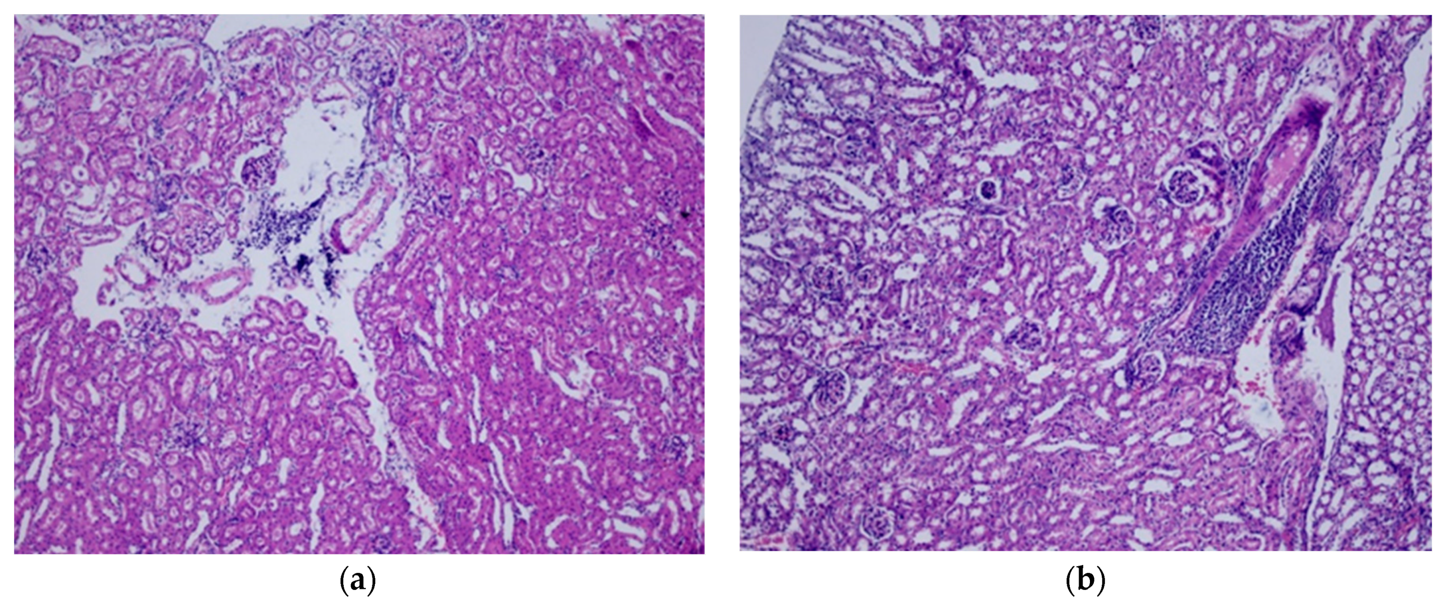 Foods 09 00719 g005a Foods 09 00719 g005a