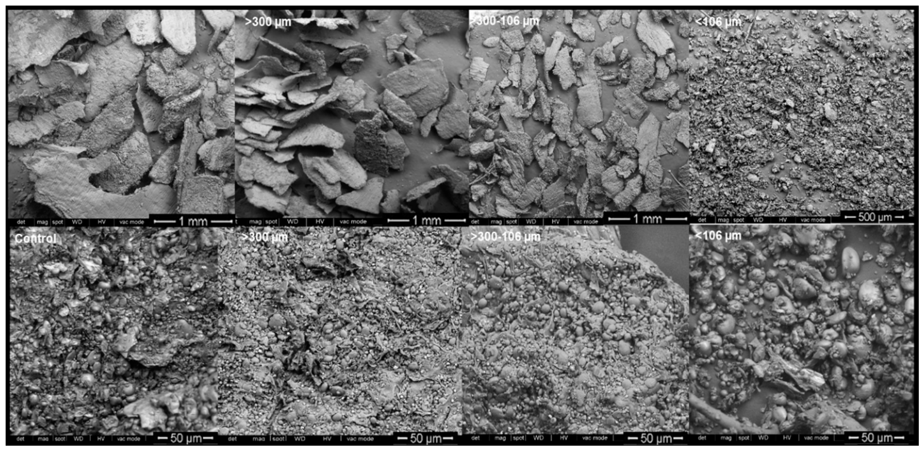 Foods 09 00781 sch002