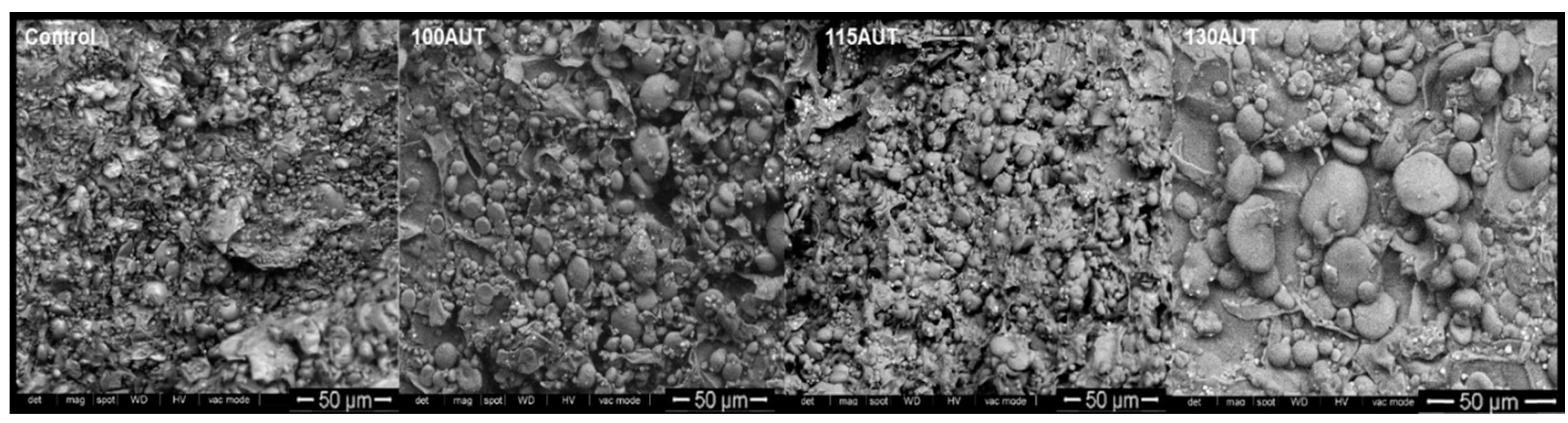 Foods 09 00781 sch003