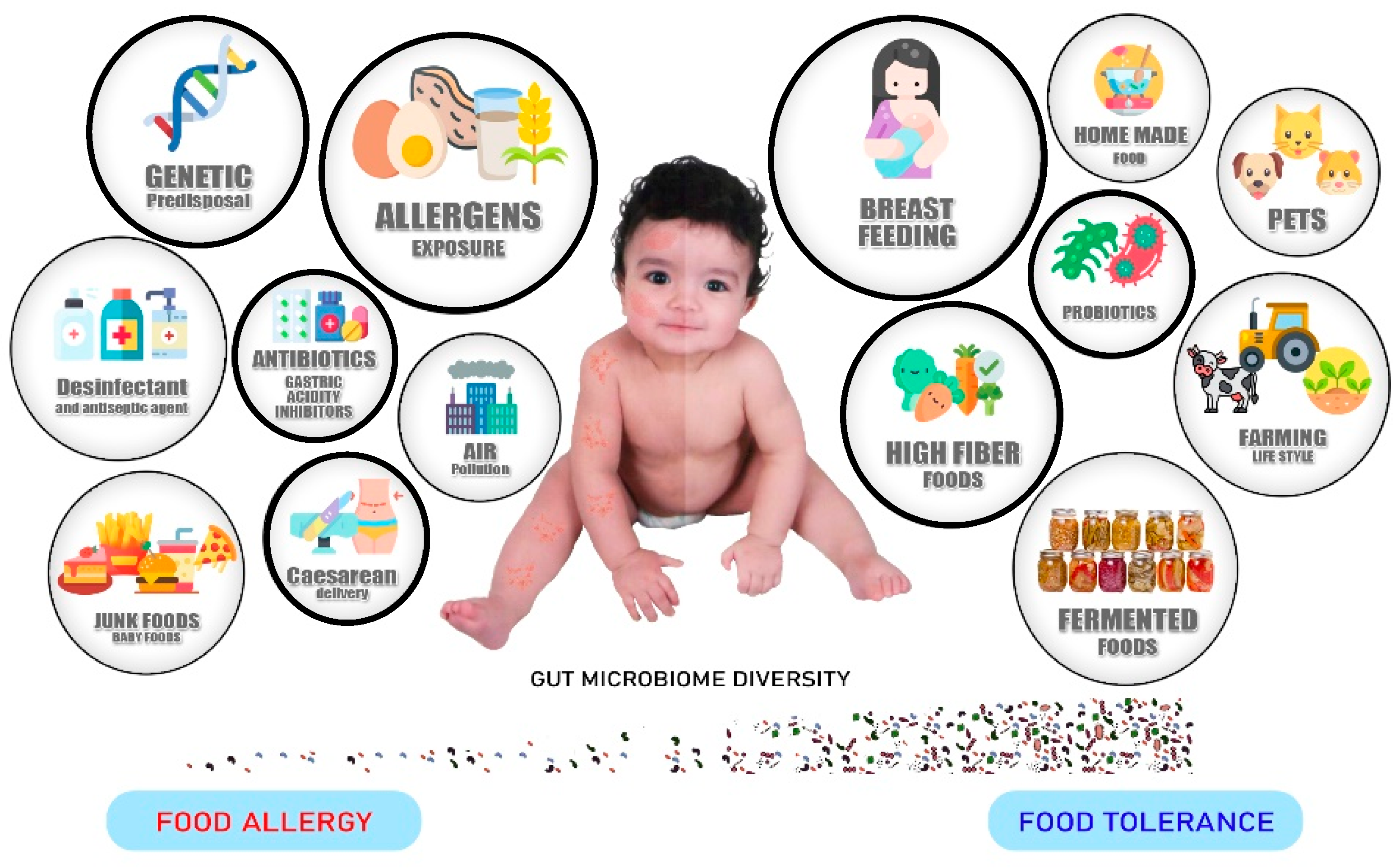 Allergenic Foods and their Allergens, with links to Informall