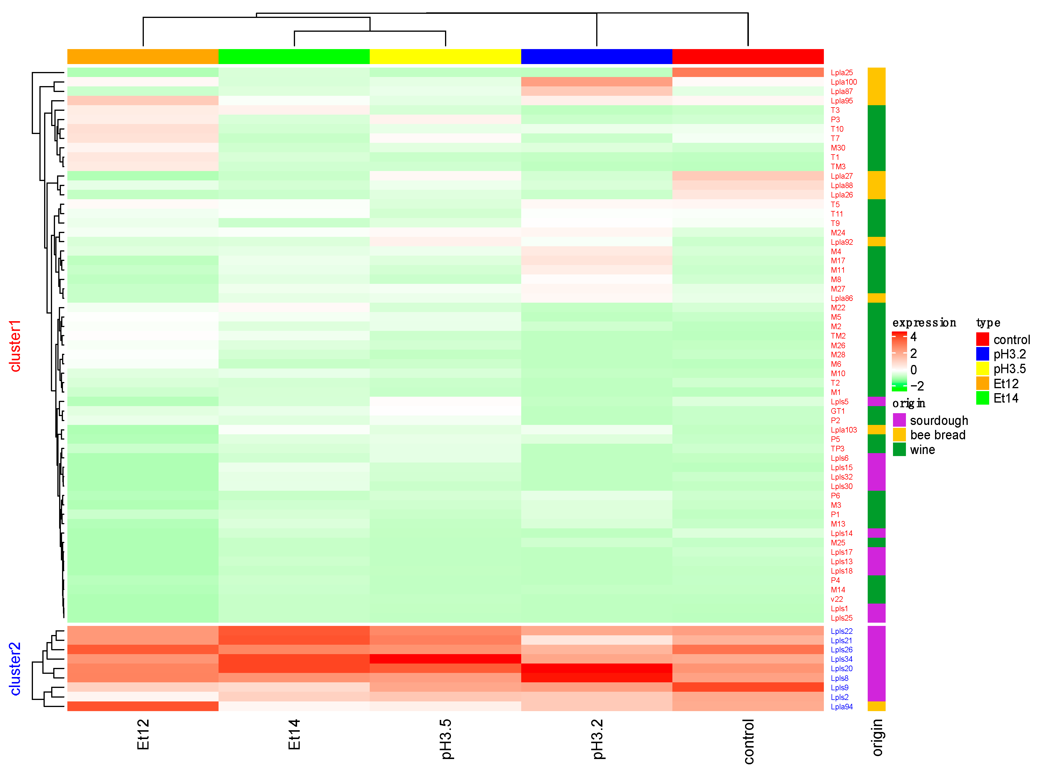 Foods 09 00797 g001 Foods 09 00797 g001