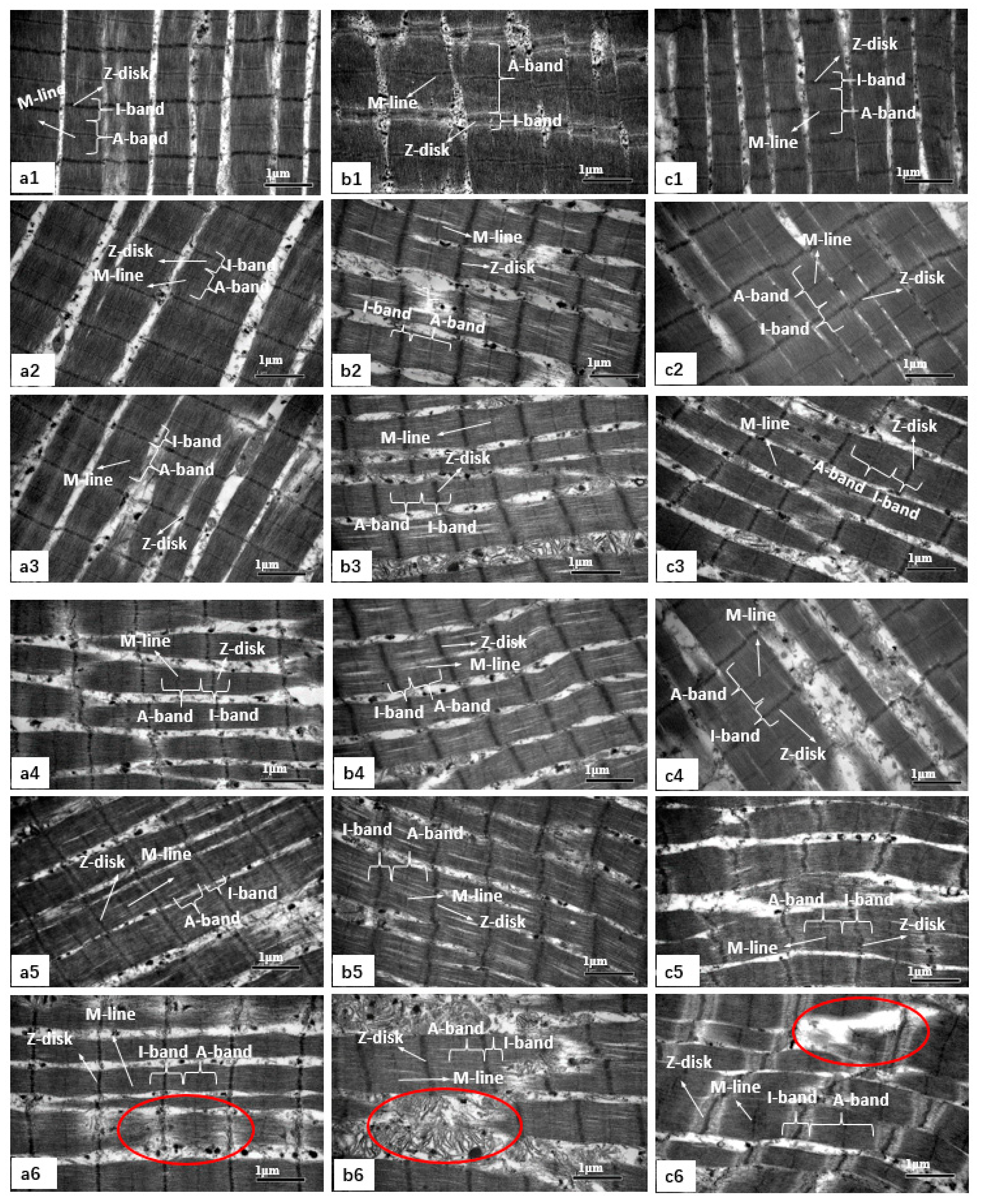 Foods 09 00806 g001 Foods 09 00806 g001