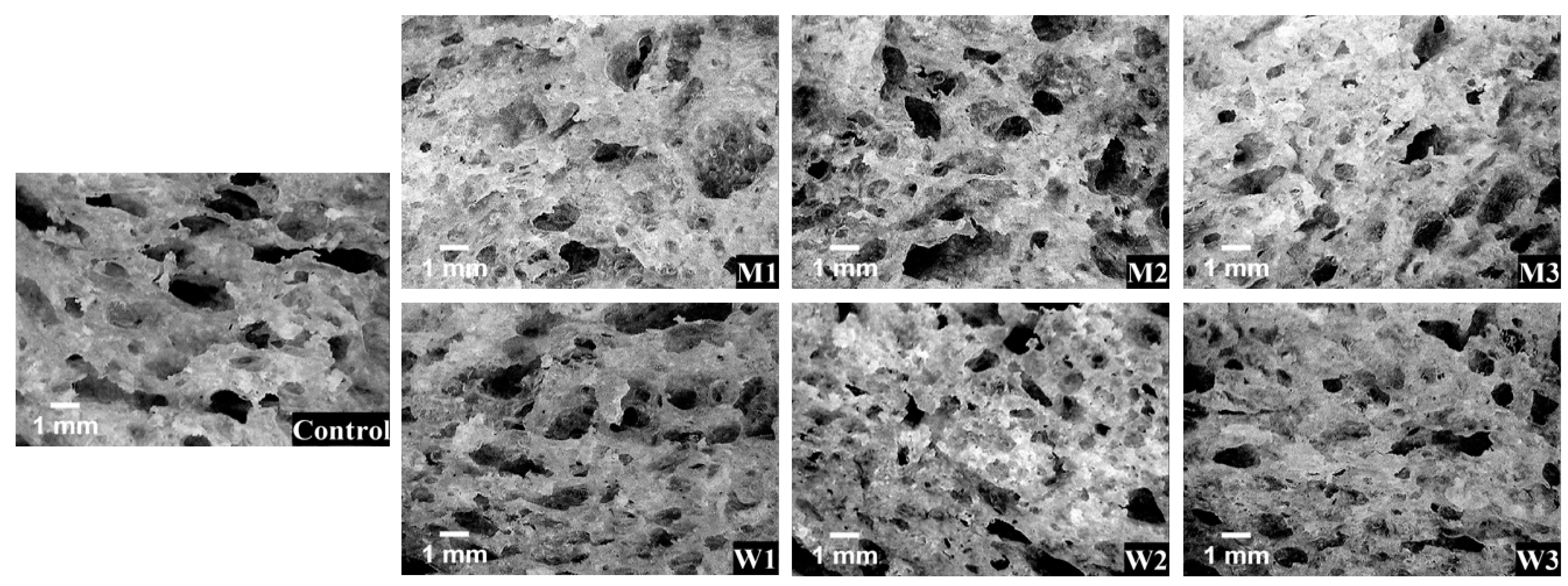 Foods 09 00828 g004 Foods 09 00828 g004