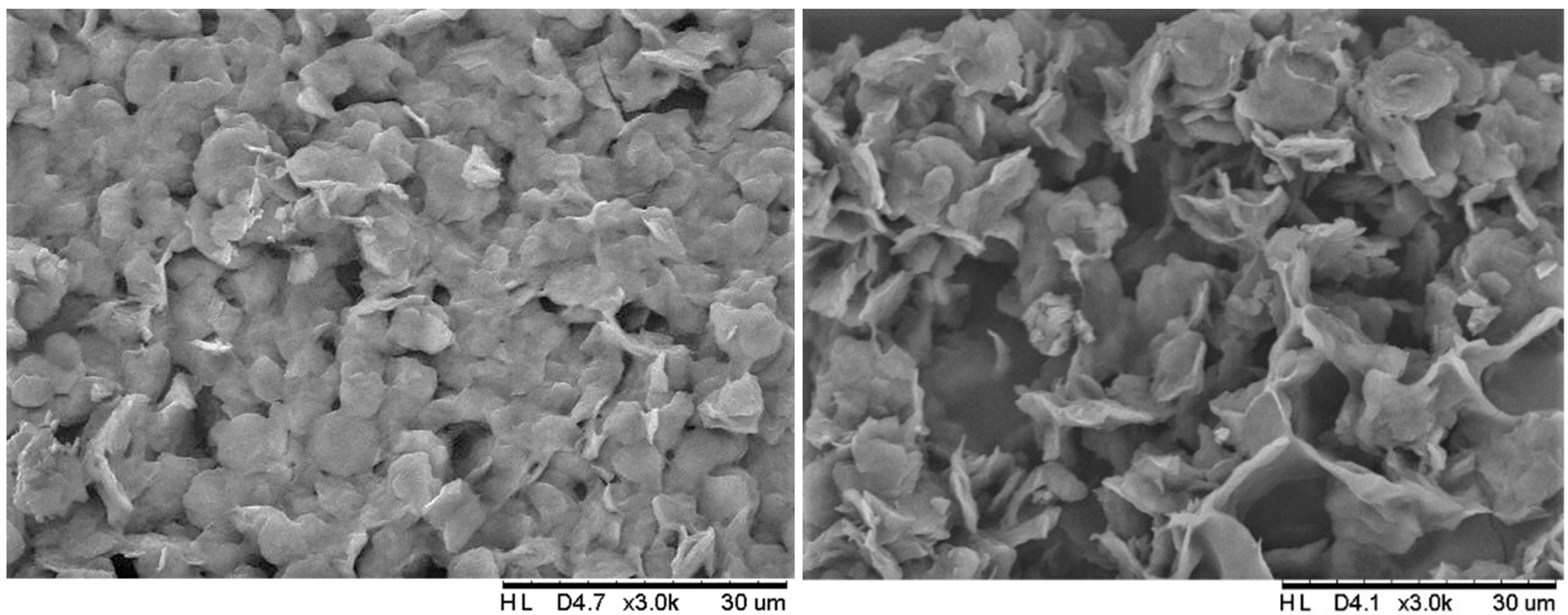 Foods 09 00845 g001b