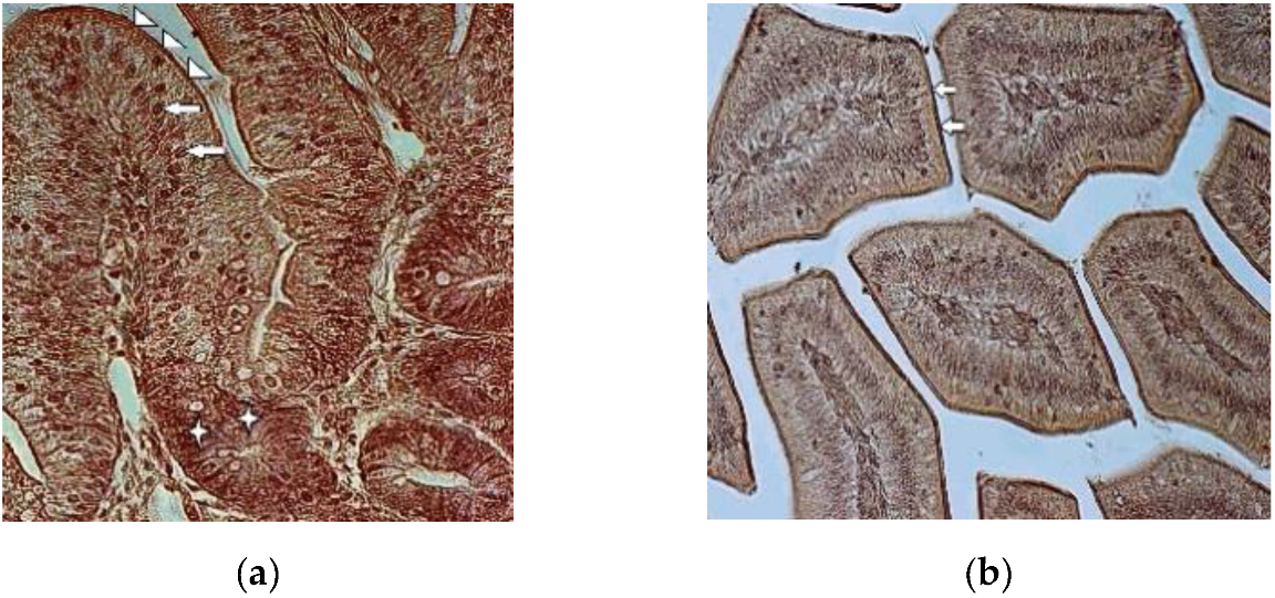 Foods 09 00849 g002 Foods 09 00849 g002