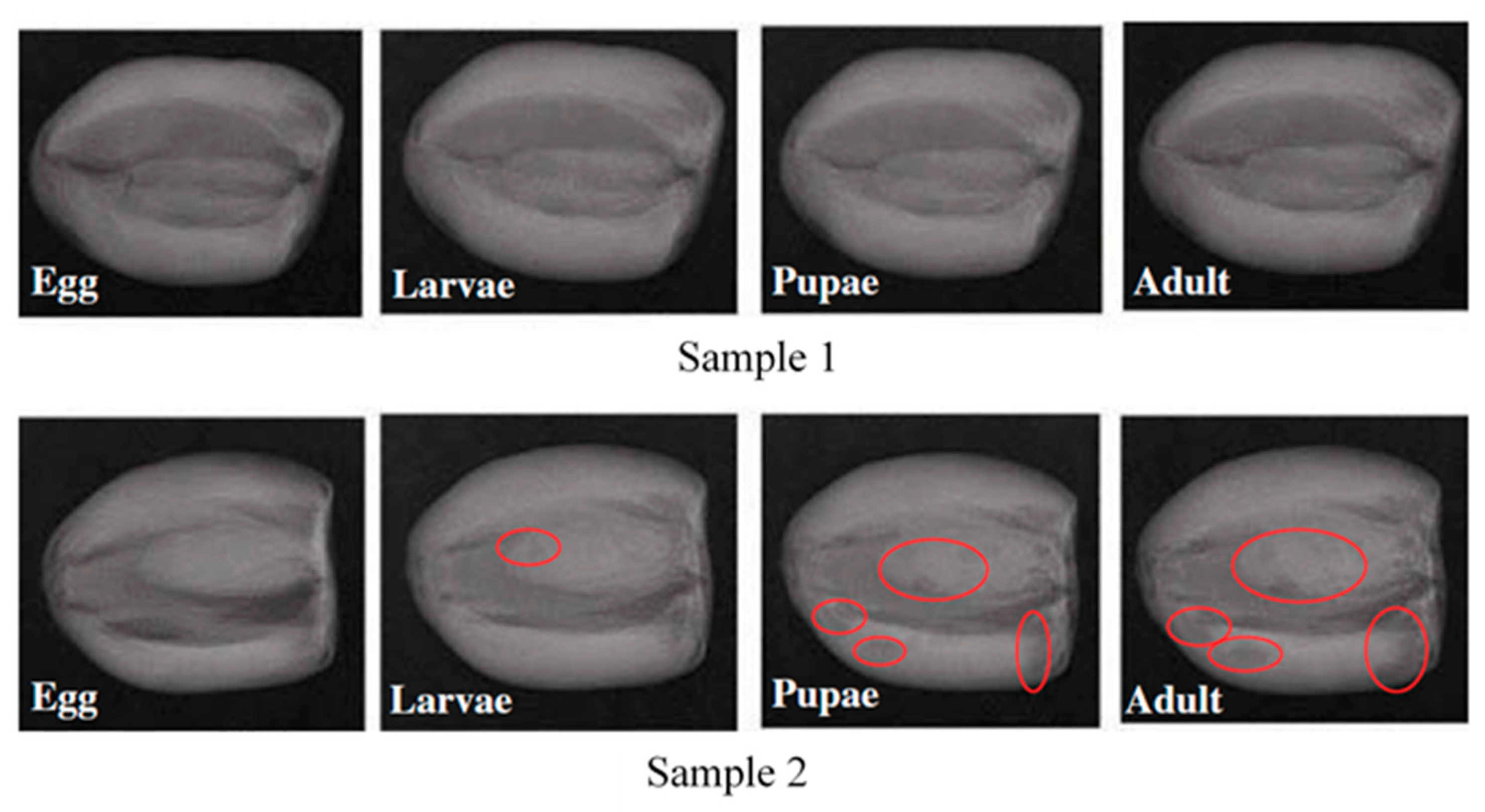 Foods 09 00927 g005 Foods 09 00927 g005