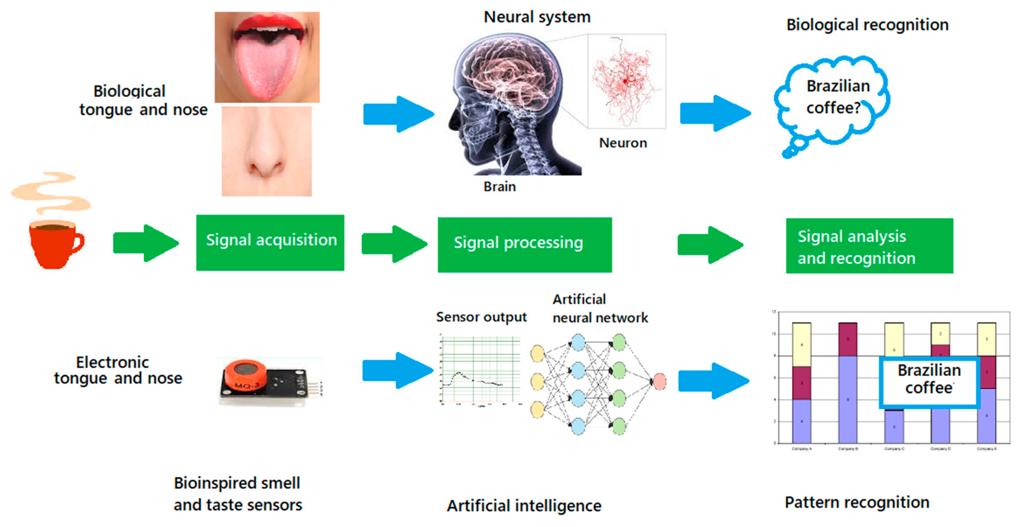 Foods 09 00927 g009 Foods 09 00927 g009