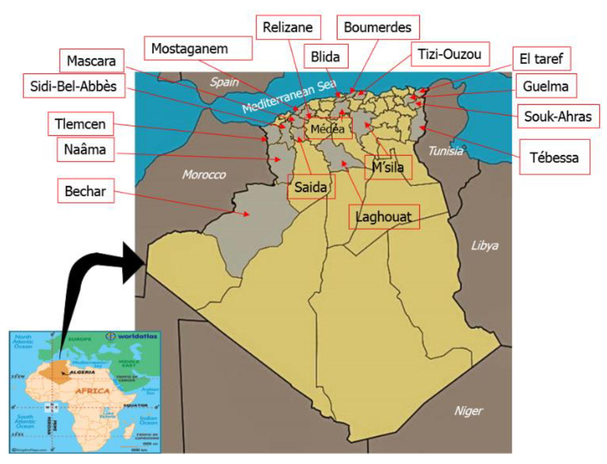 Foods 09 00938 g001 Foods 09 00938 g001